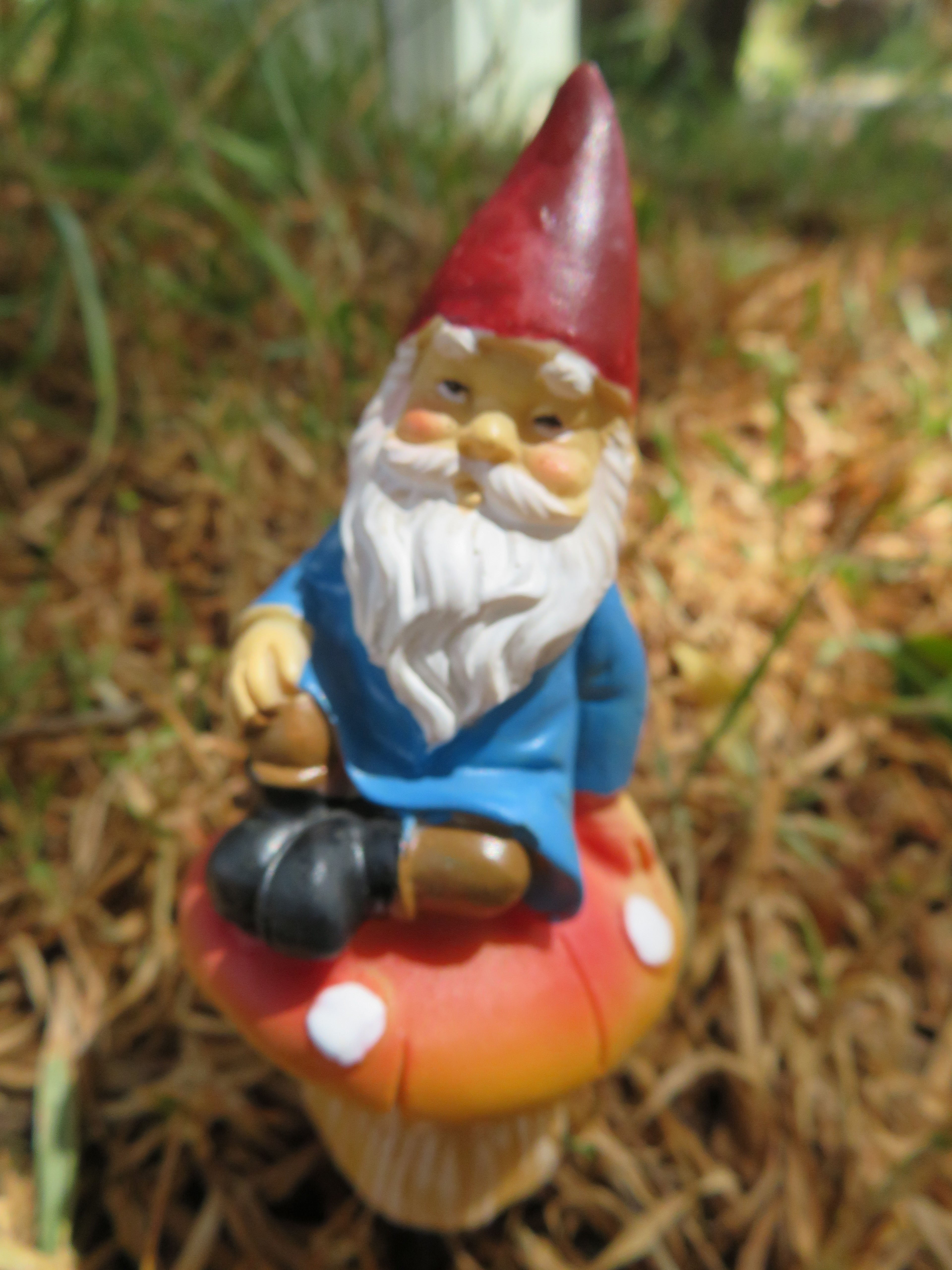 12cm garden gnome stakes image 5
