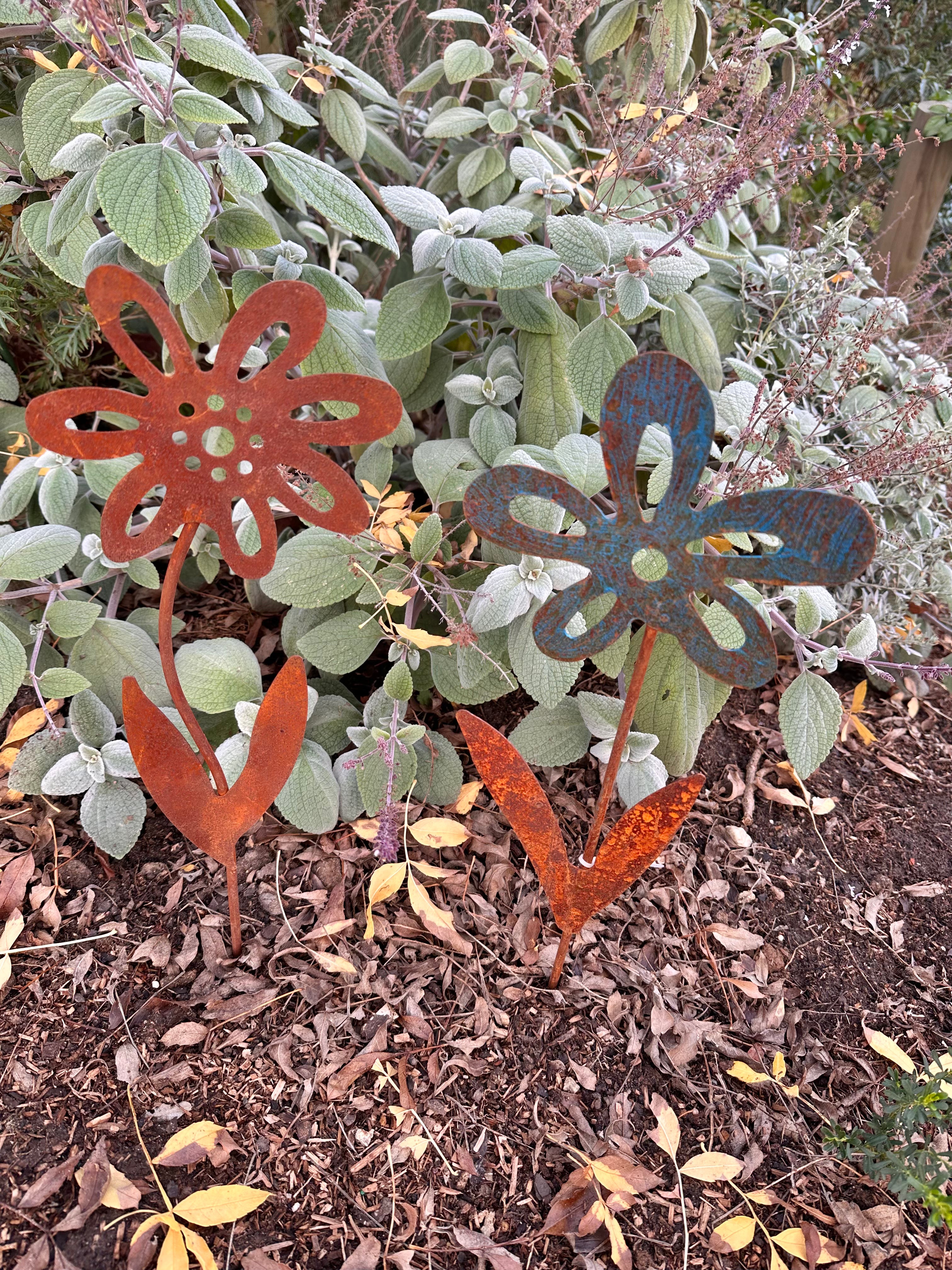 Rustic forget me not stake image 0