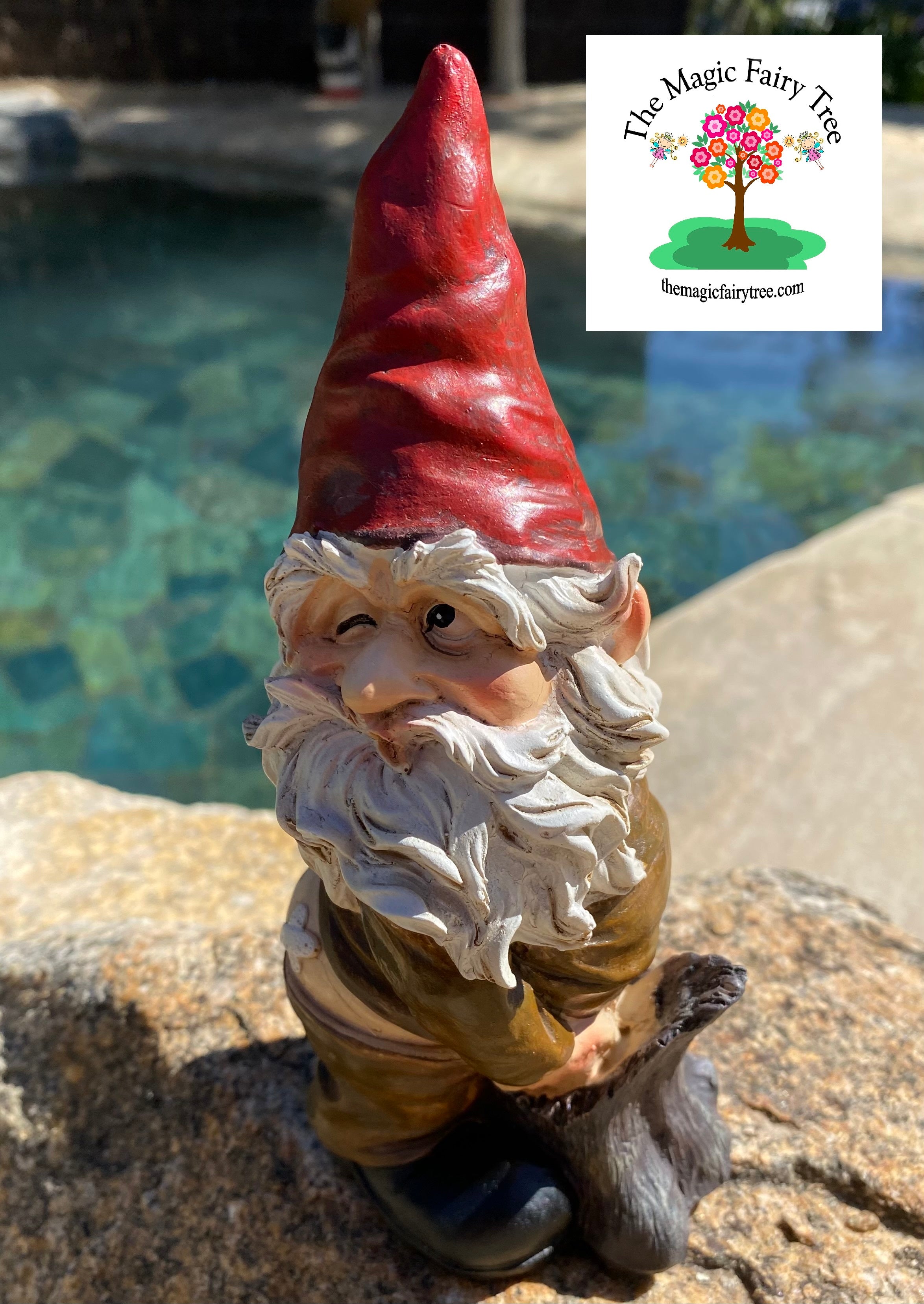 Rude Novelty Gnomes image 2