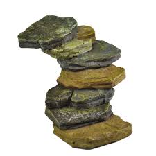 Fiddlehead rock staircase image 0