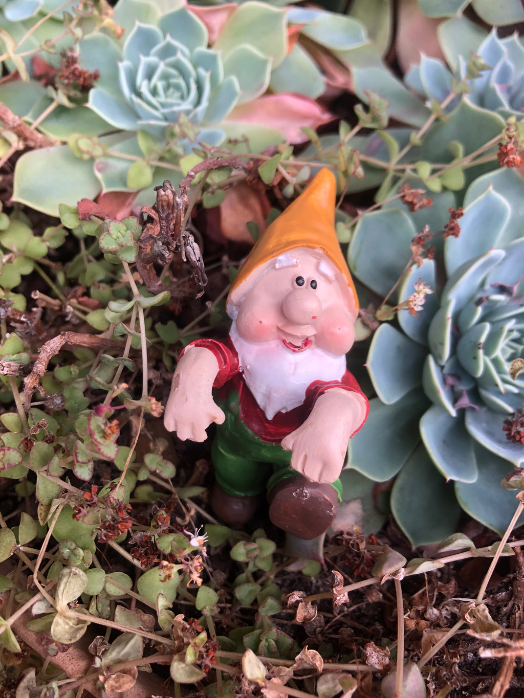 Gnome pot sitters image 6