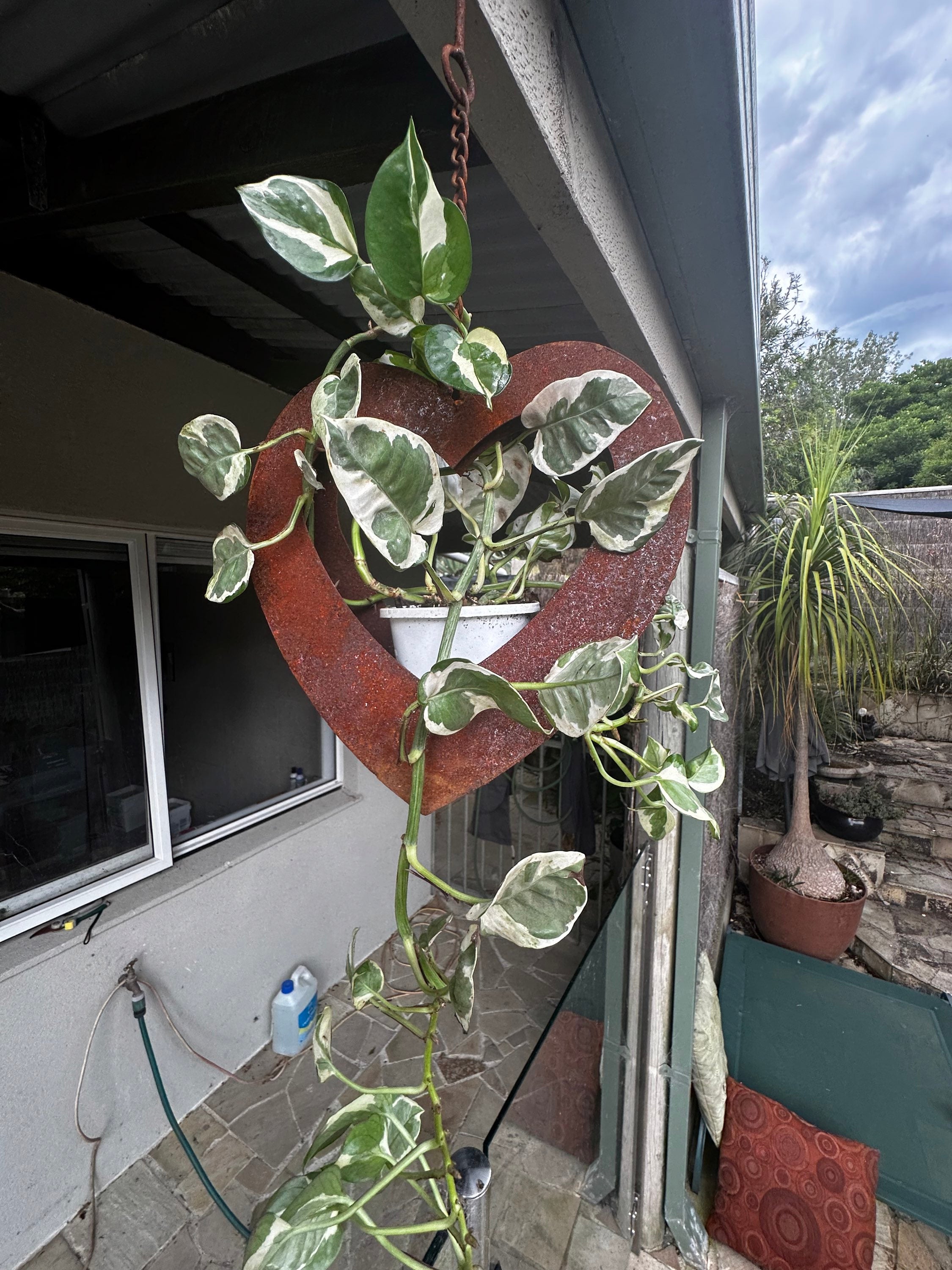 Rusty hanging heart planter  image 4