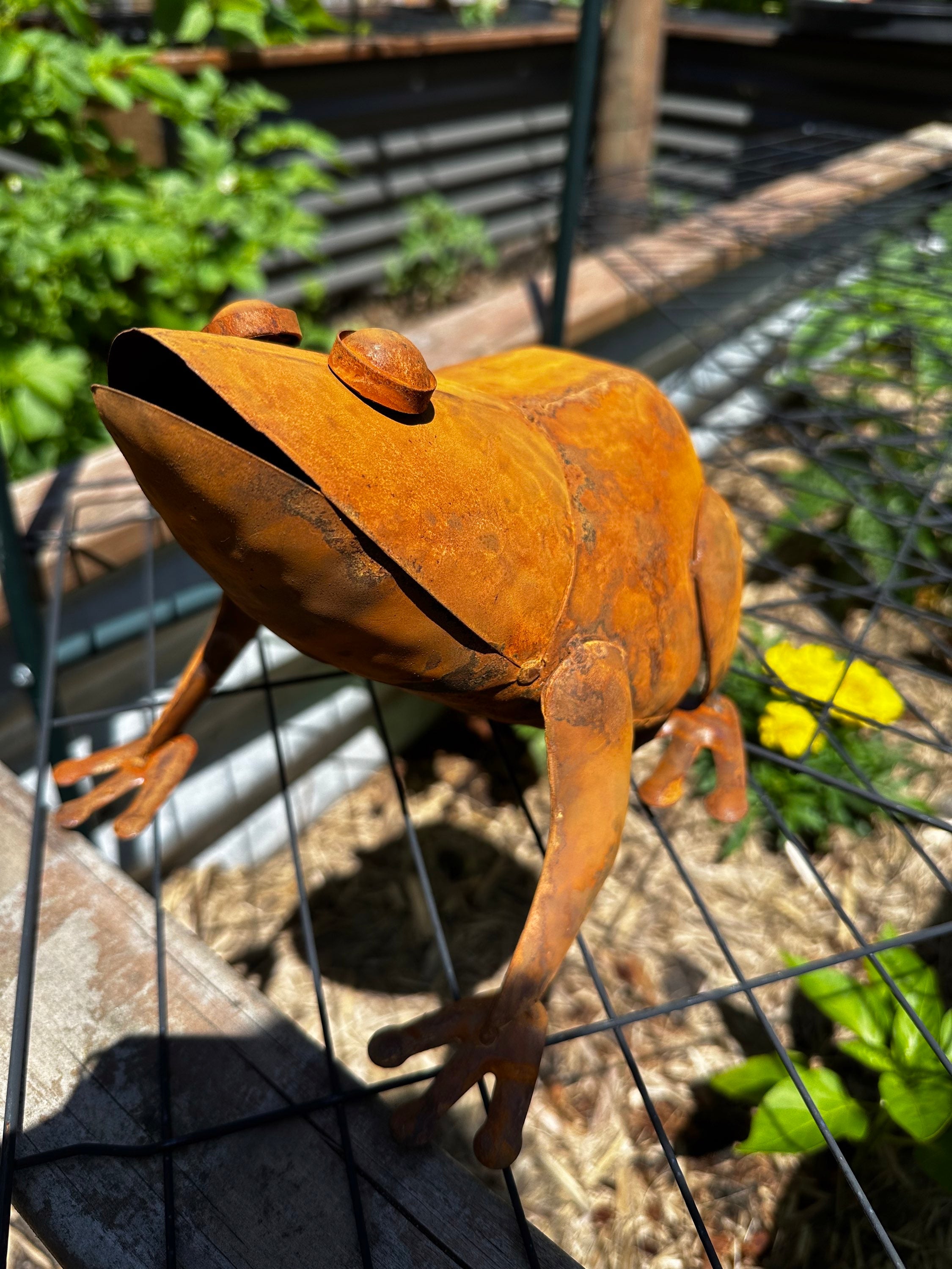 Large Rusty Metal Frog Garden Statue image 2