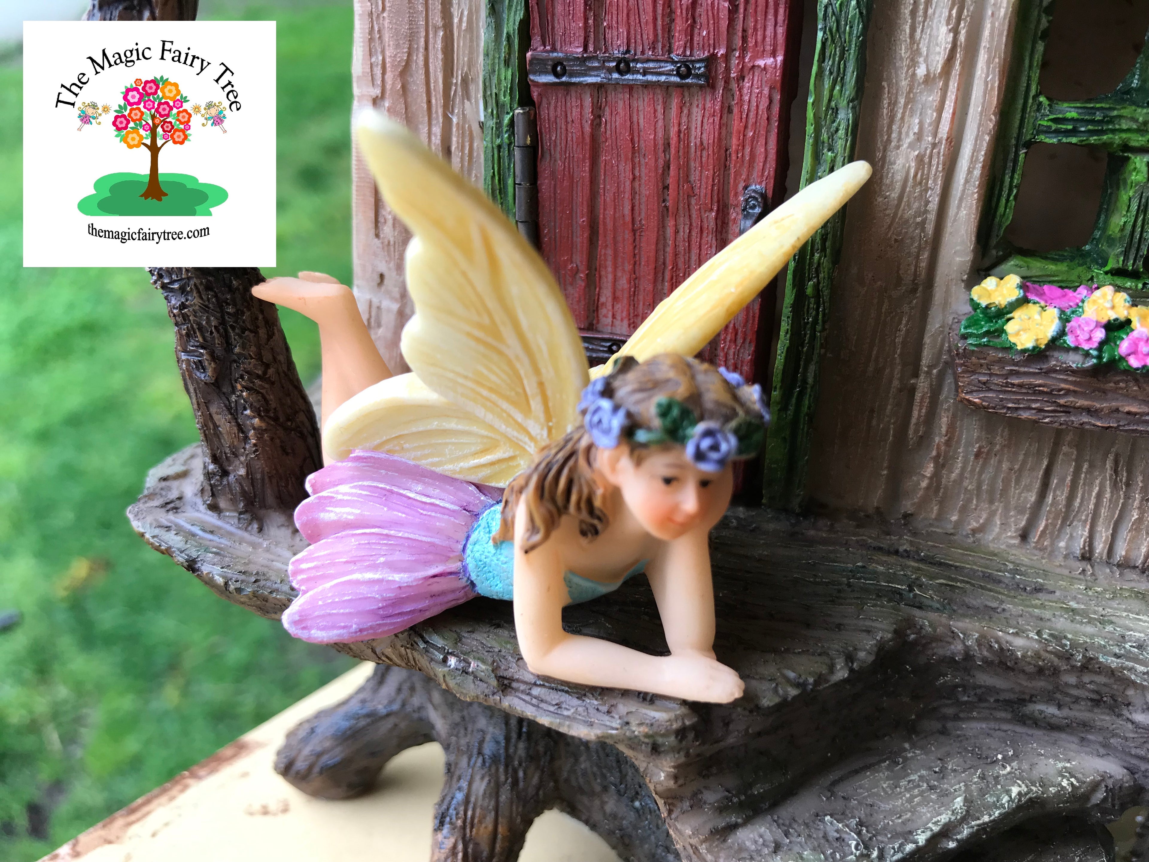 Fairy Jasmine image 0
