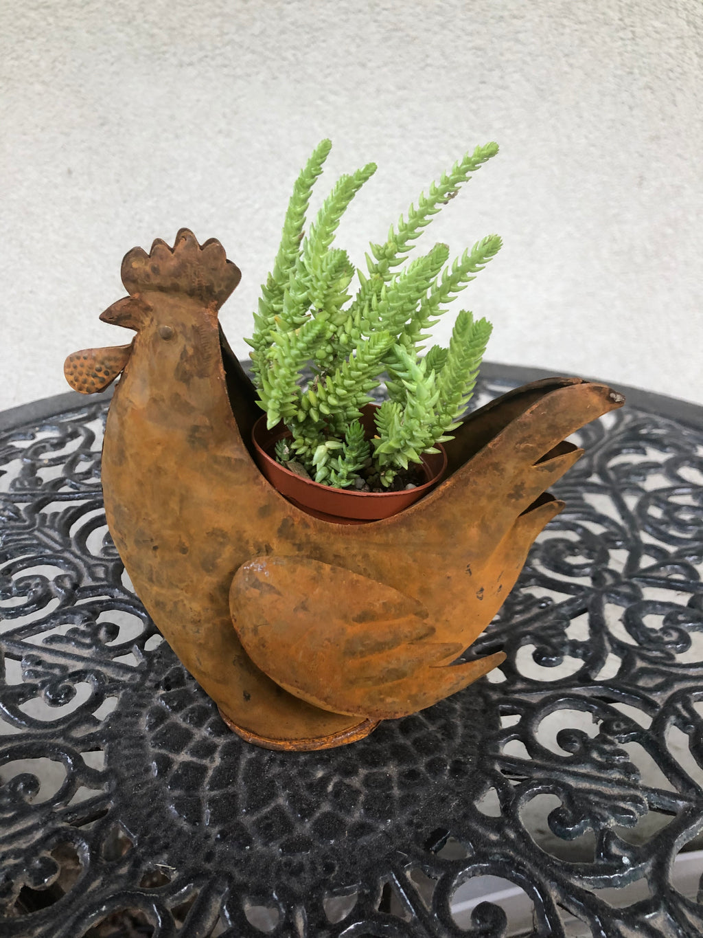Rusty Chicken Planter image 6