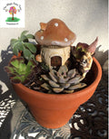 Miniature fairy houses image 6