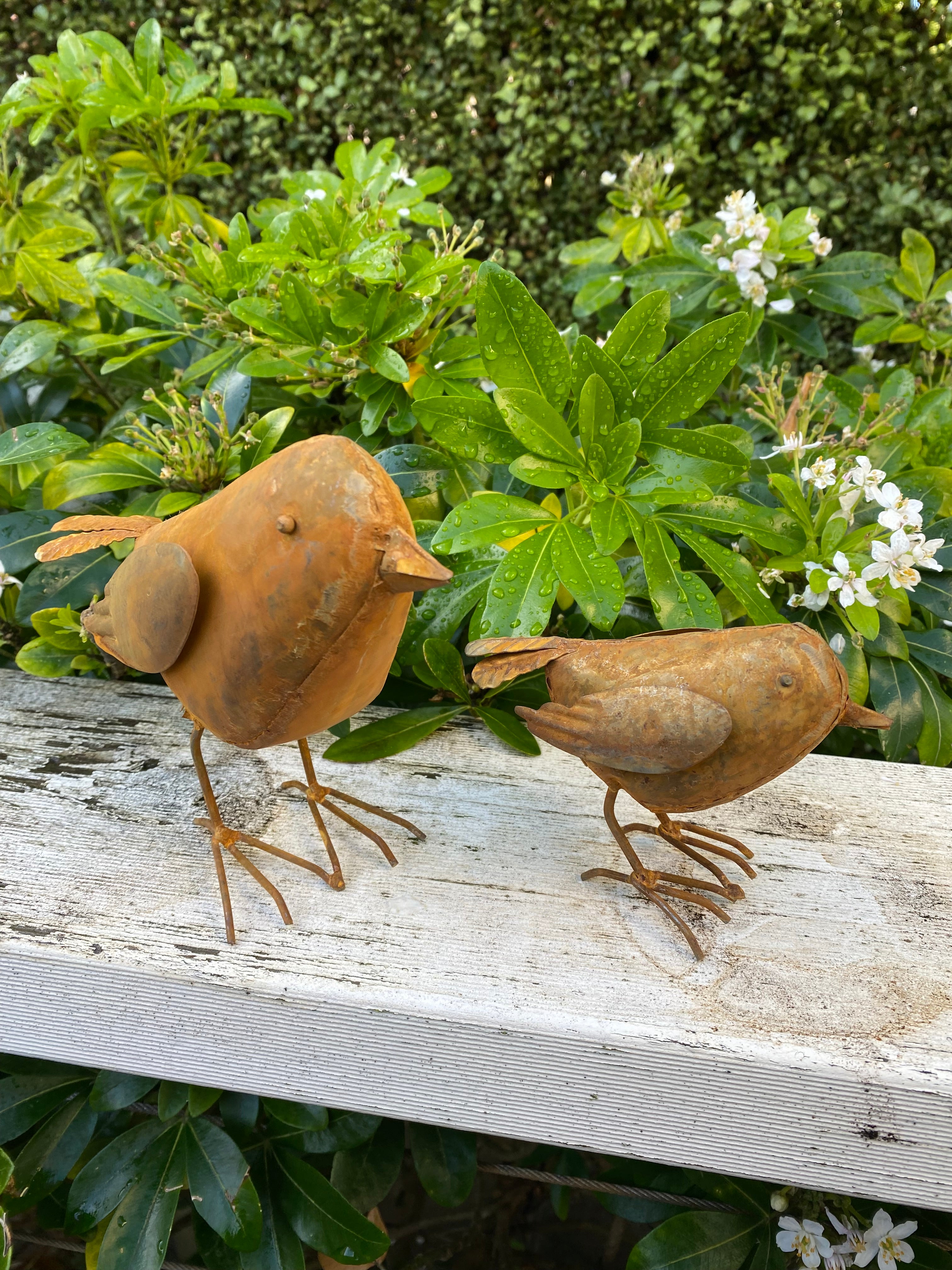 Rusty metal bird - birdee - small or large image 0