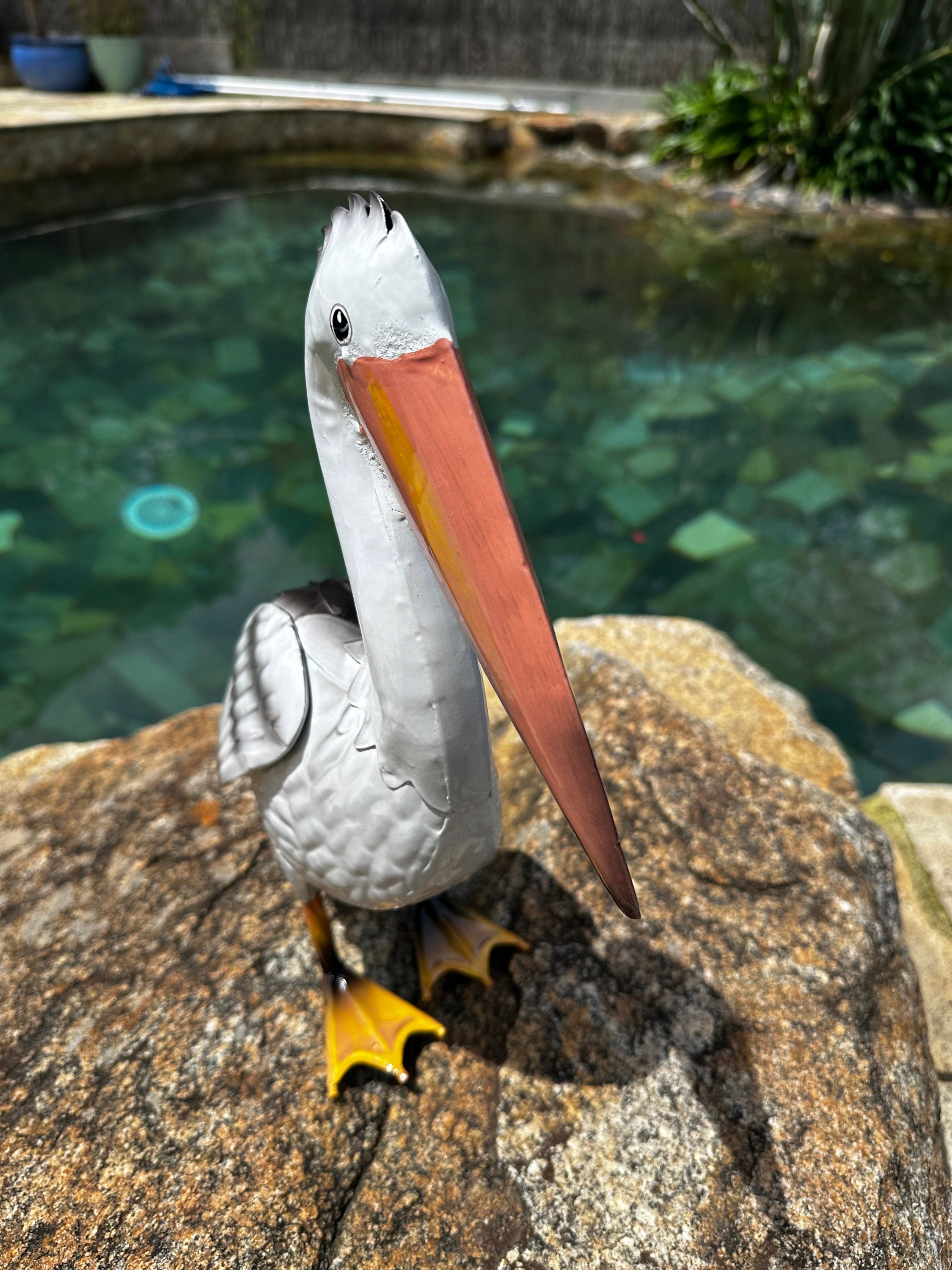 Metal Pelican image 2