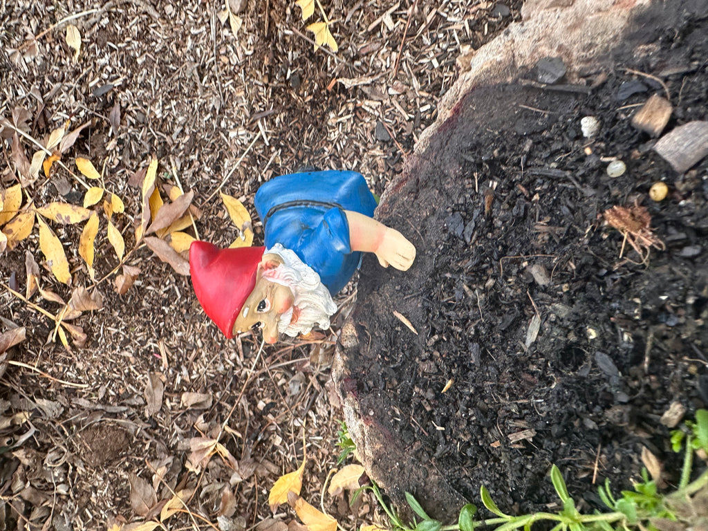 Garden Gnome pot sitters image 10