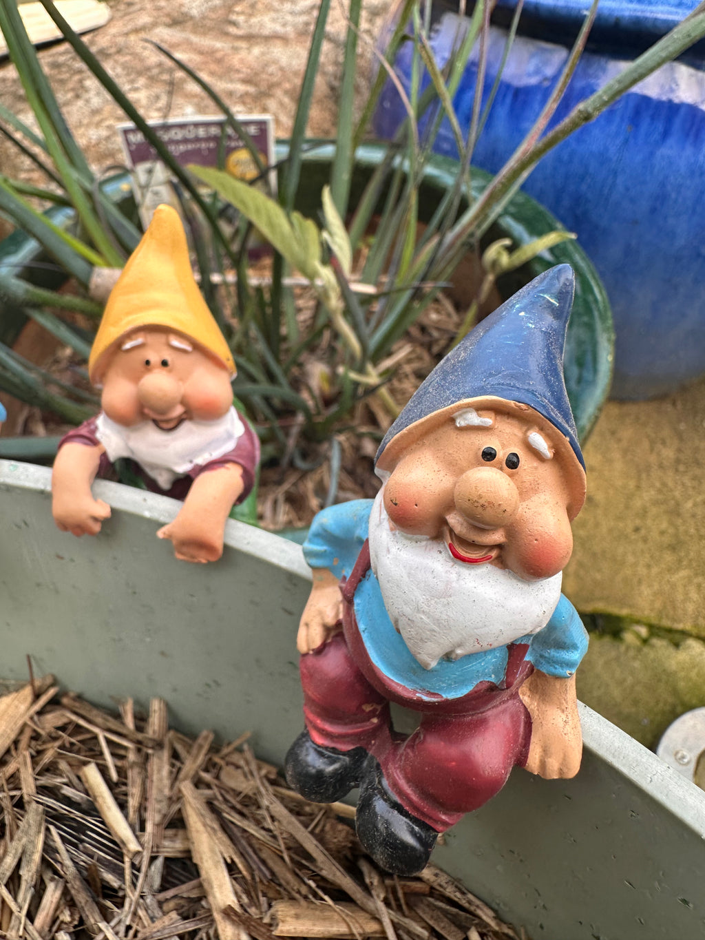 Gnome pot sitters image 9