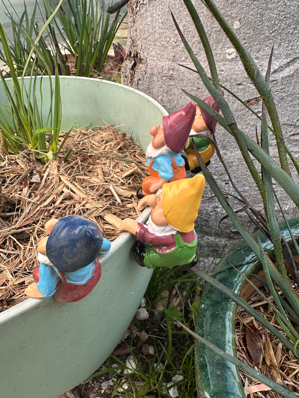 Gnome pot sitters image 8
