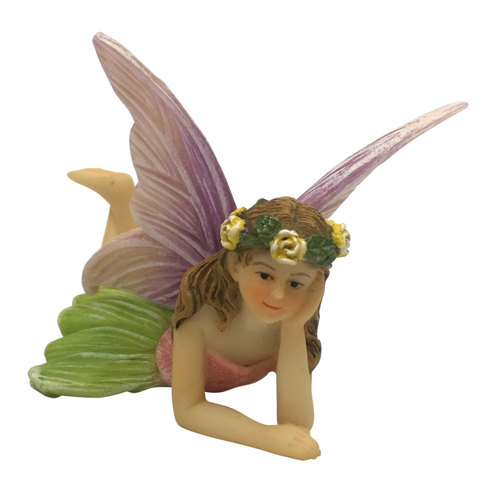 Fairy Jasmine image 2