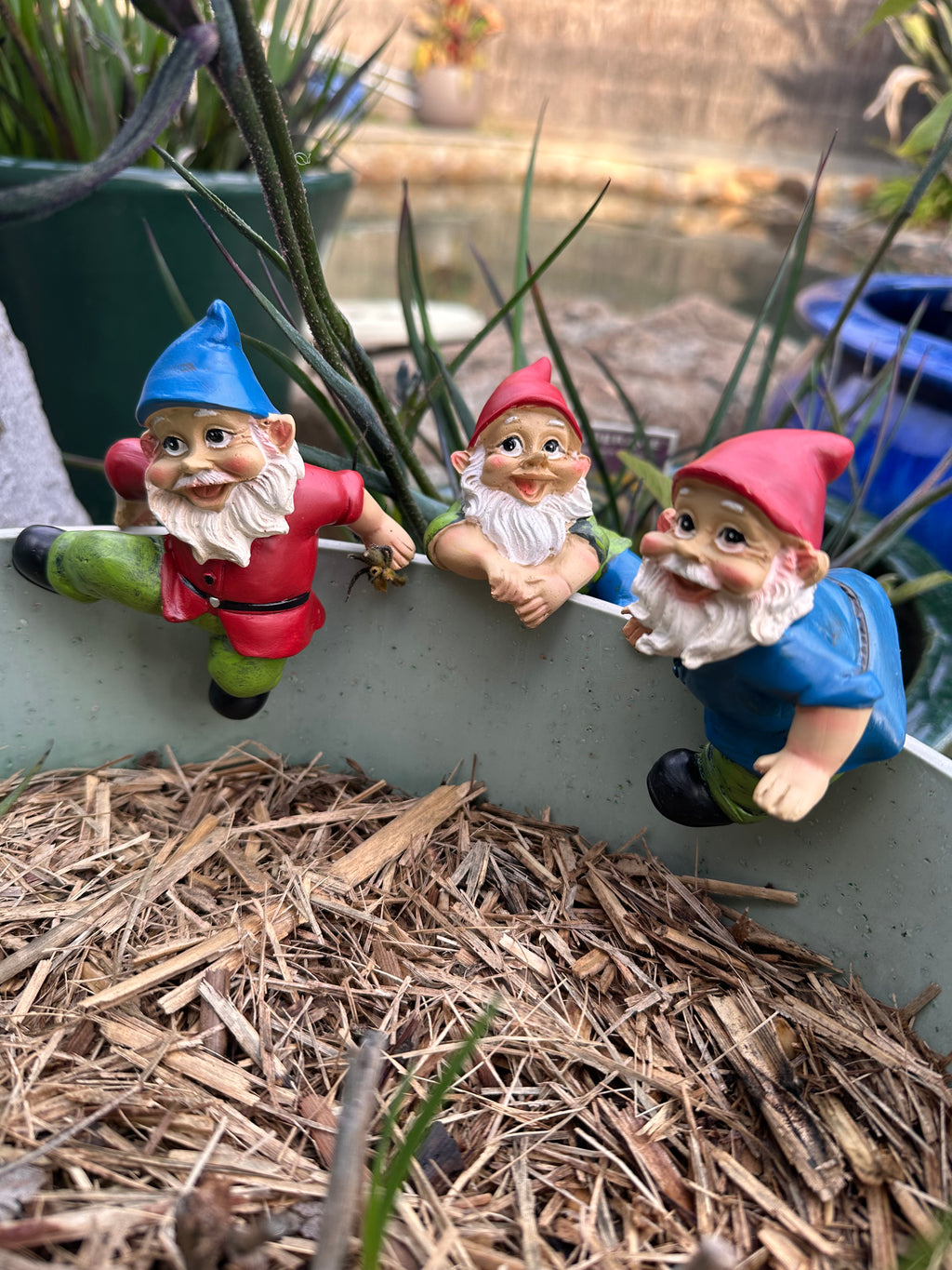Garden Gnome pot sitters image 8