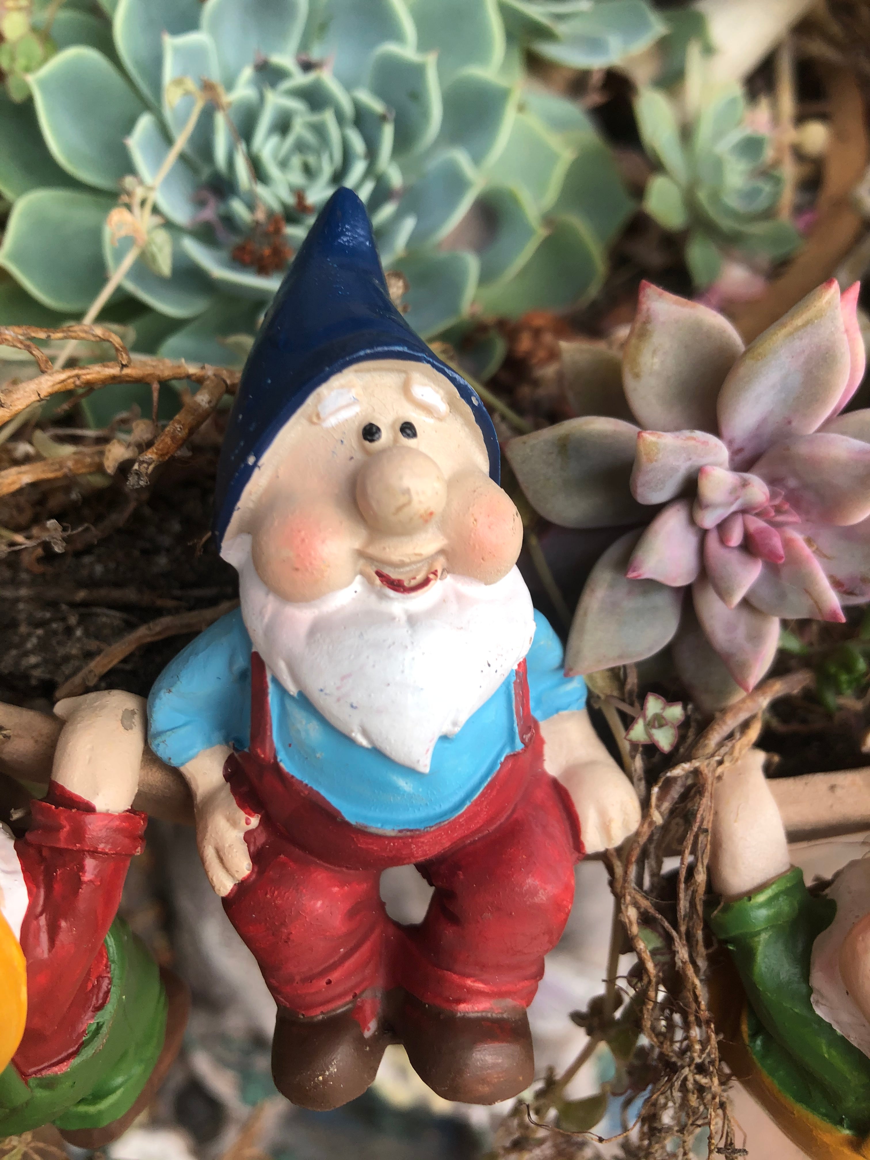 Gnome pot sitters image 2