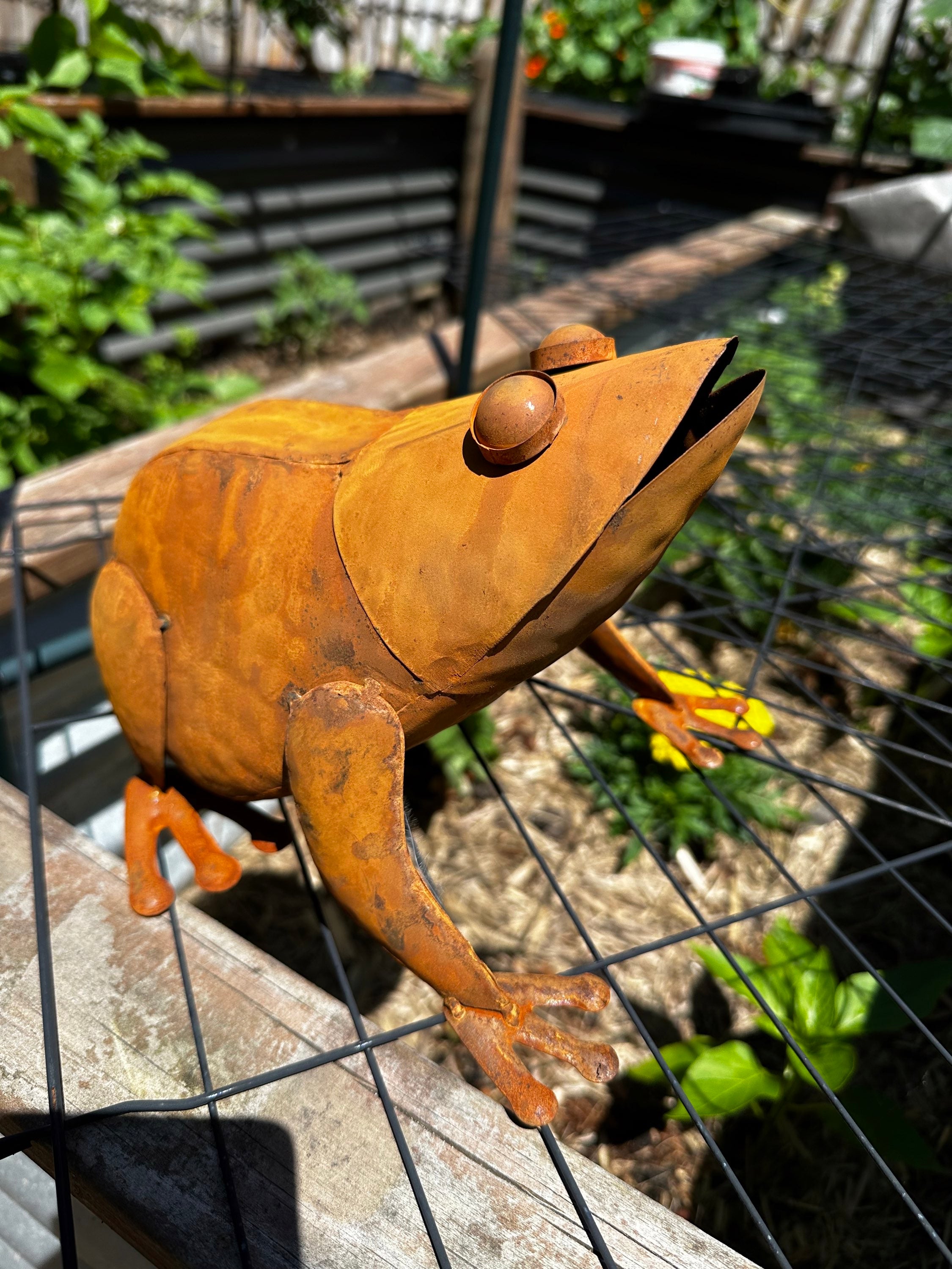 Large Rusty Metal Frog Garden Statue image 4