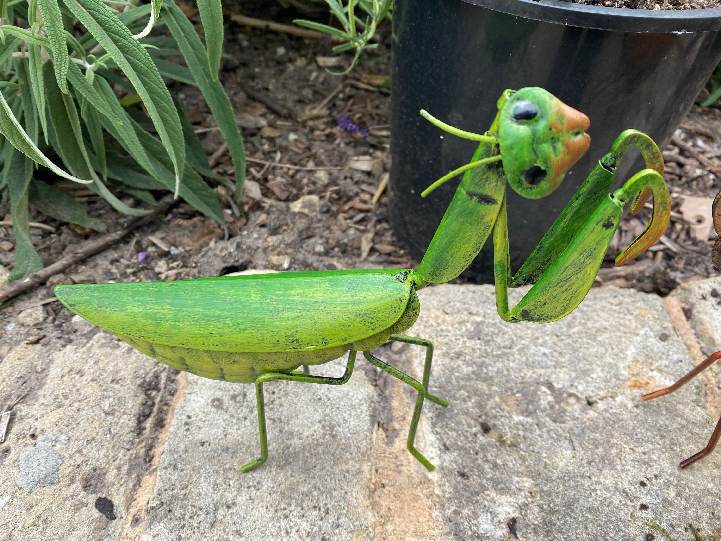 Rustic Praying Mantis image 1