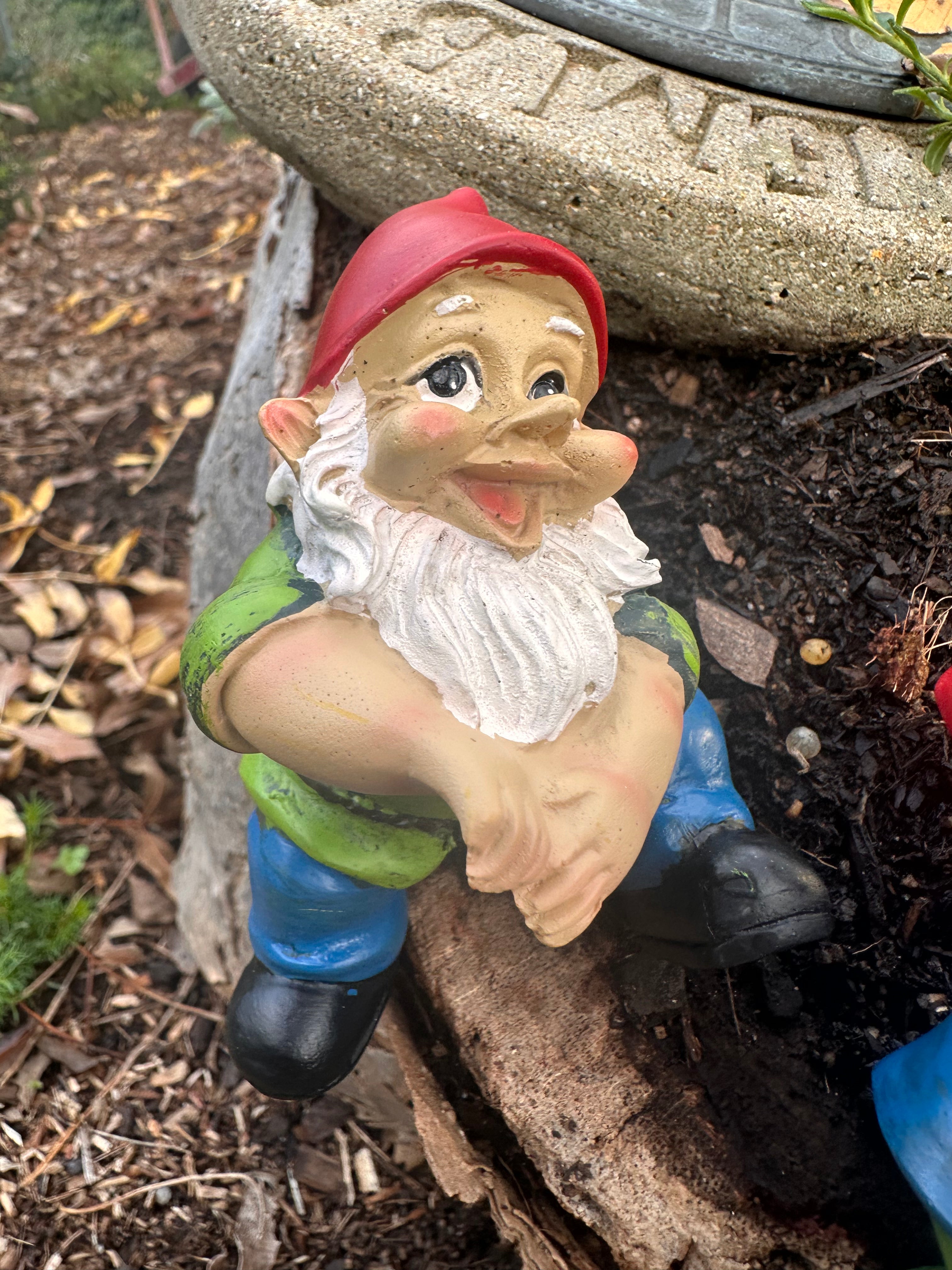 Garden Gnome pot sitters image 1