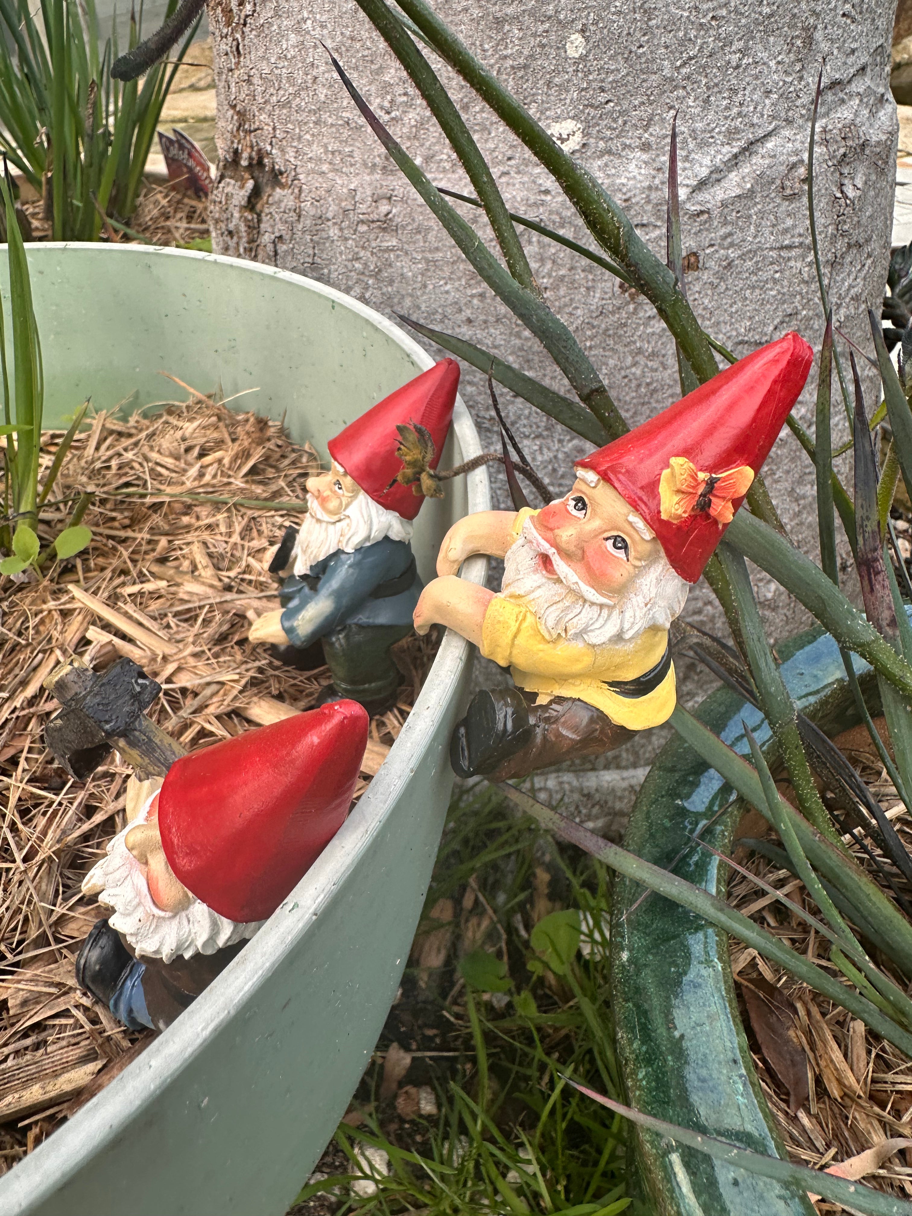 Gardening Gnome pot sitters image 4