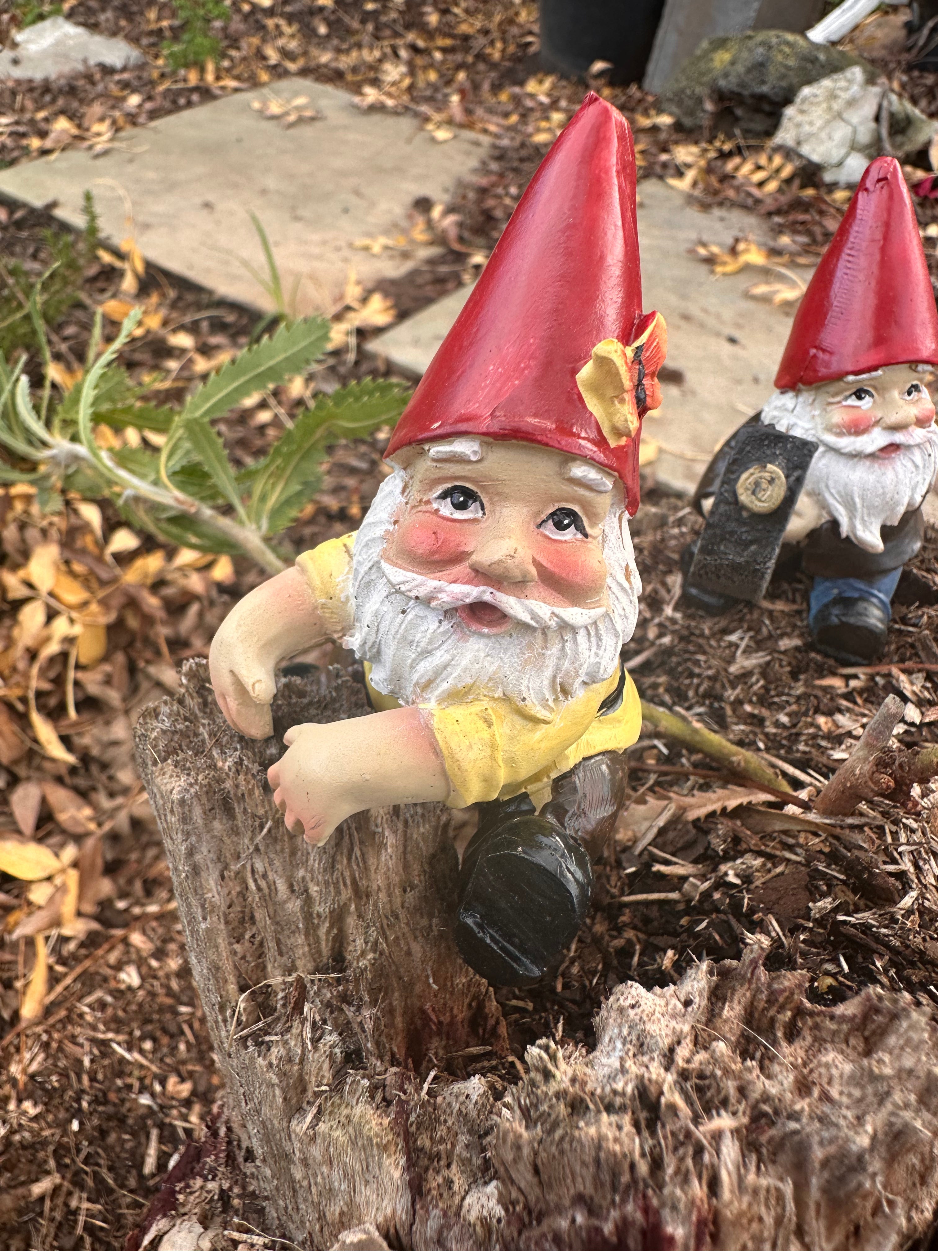 Gardening Gnome pot sitters image 2