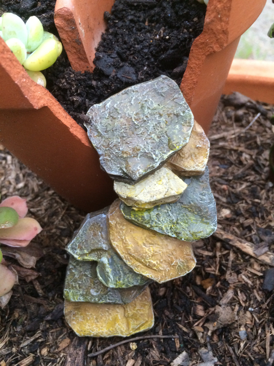 Fiddlehead rock staircase image 3