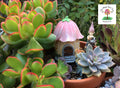 Miniature fairy houses image 1