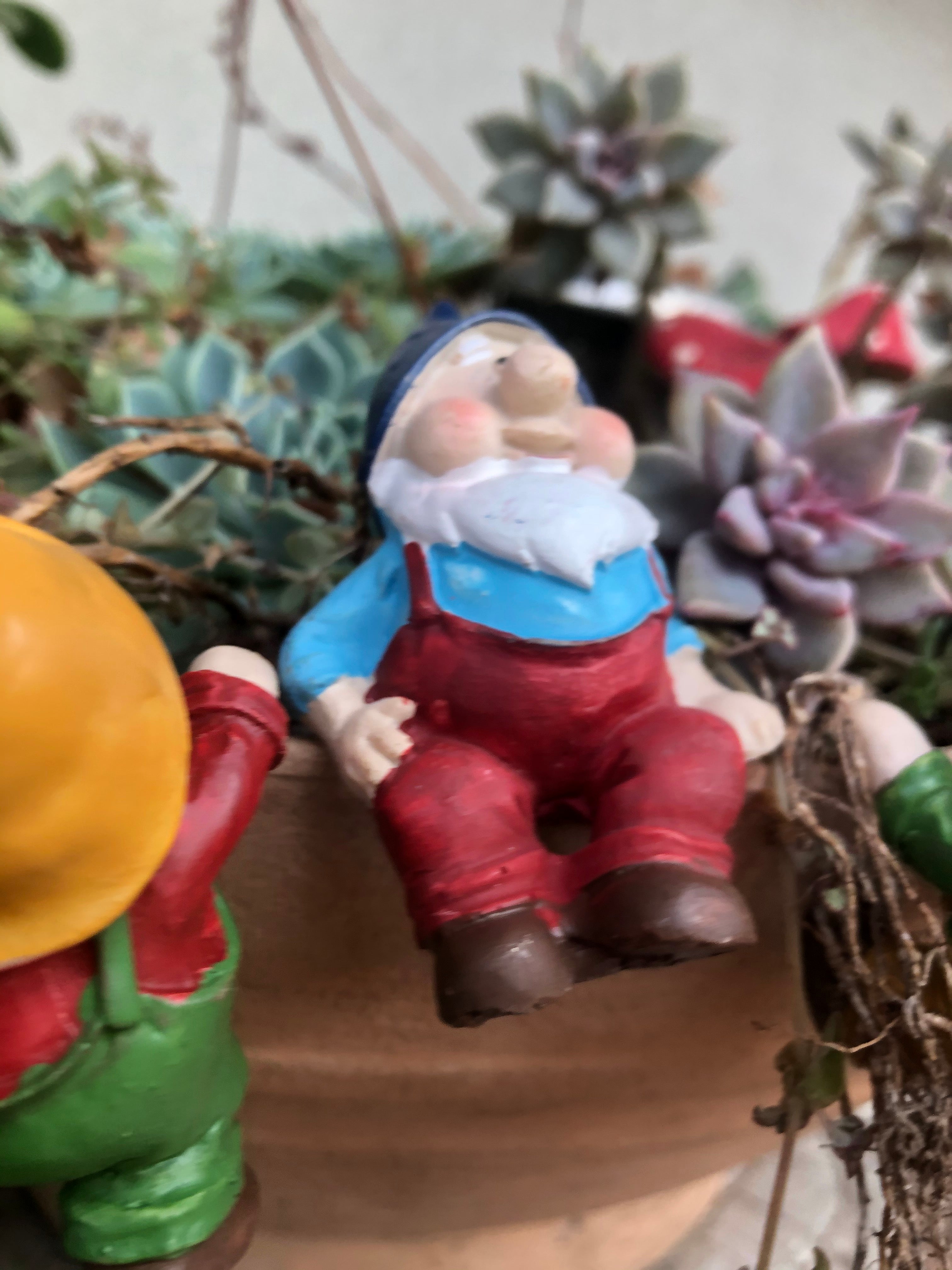 Gnome pot sitters image 1