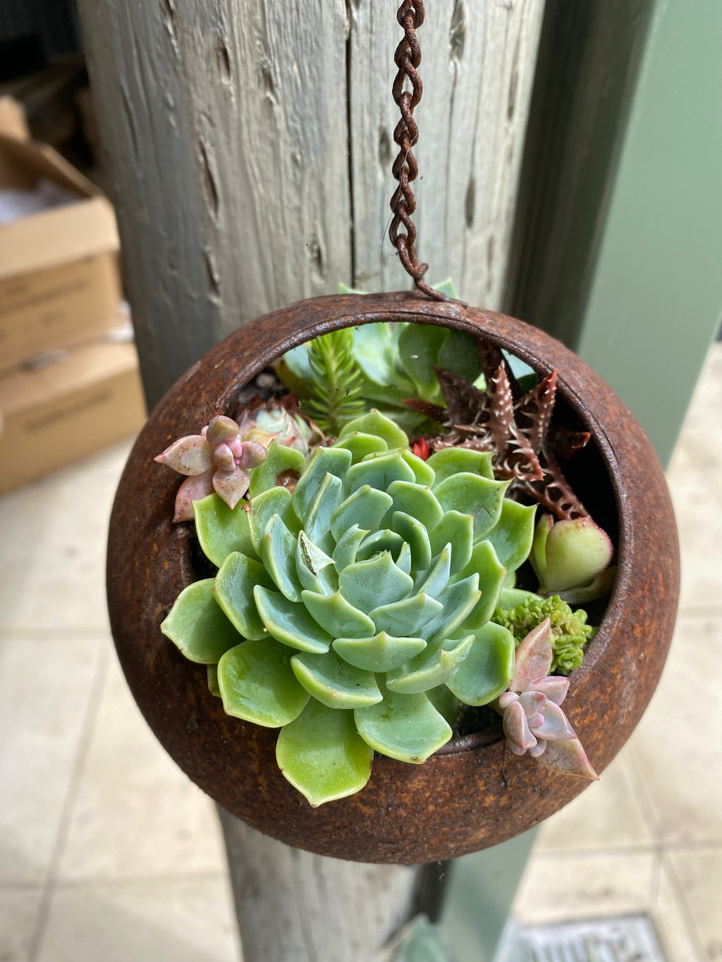 Rust Ball Hanging Planter image 7