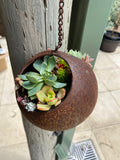 Rust Ball Hanging Planter image 0