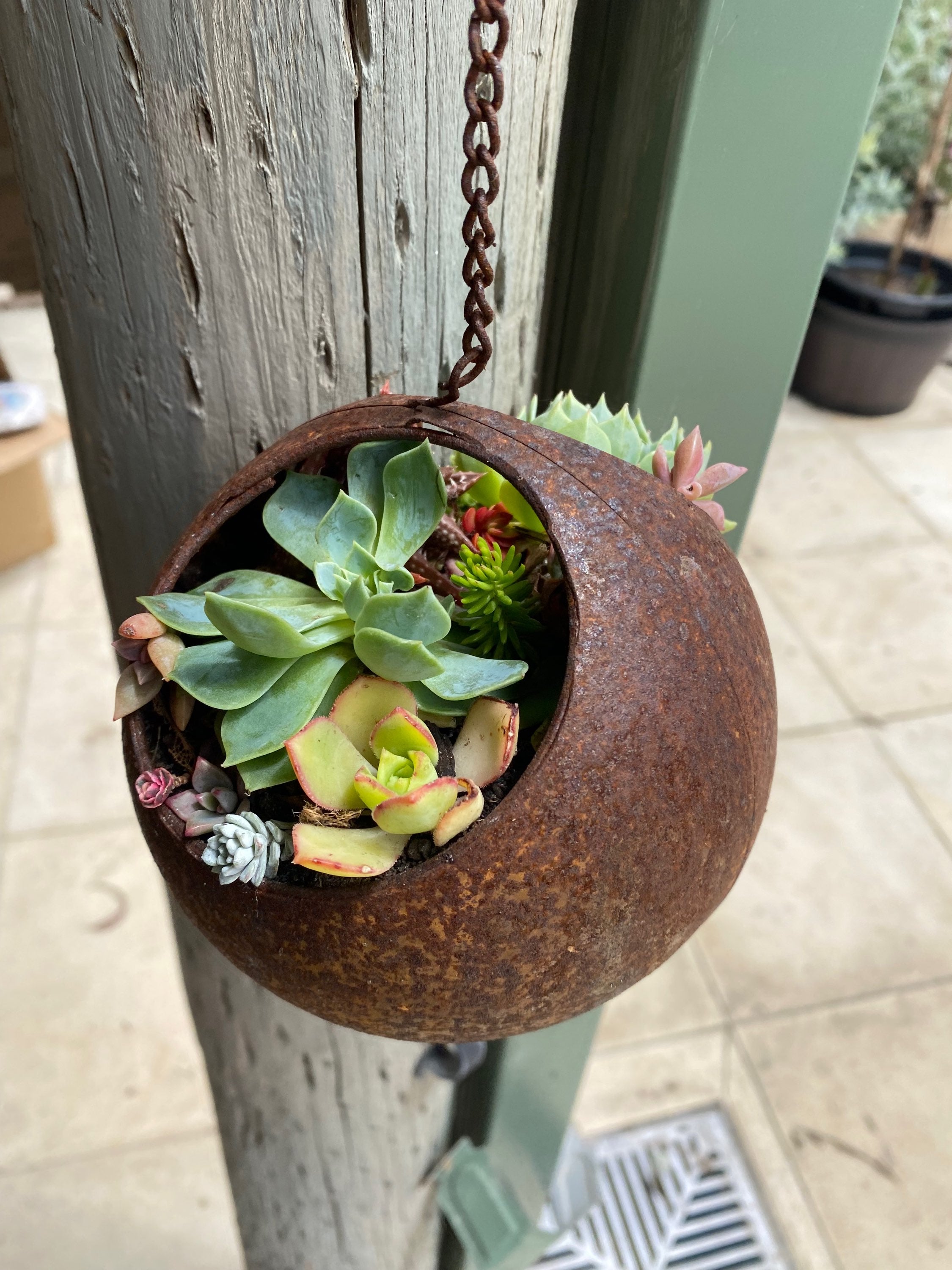Rust Ball Hanging Planter image 0
