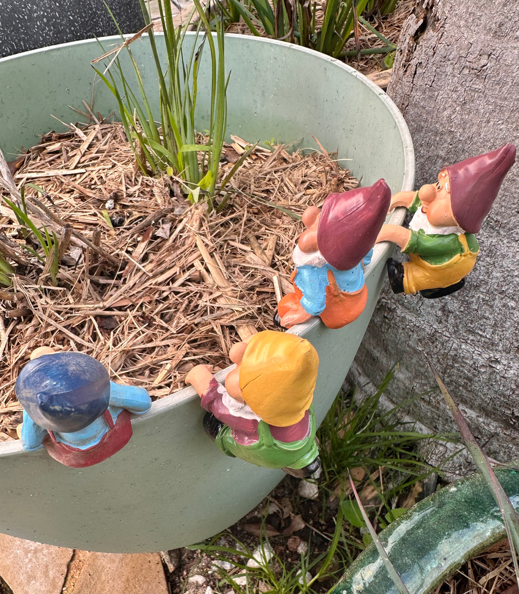 Gnome pot sitters image 7
