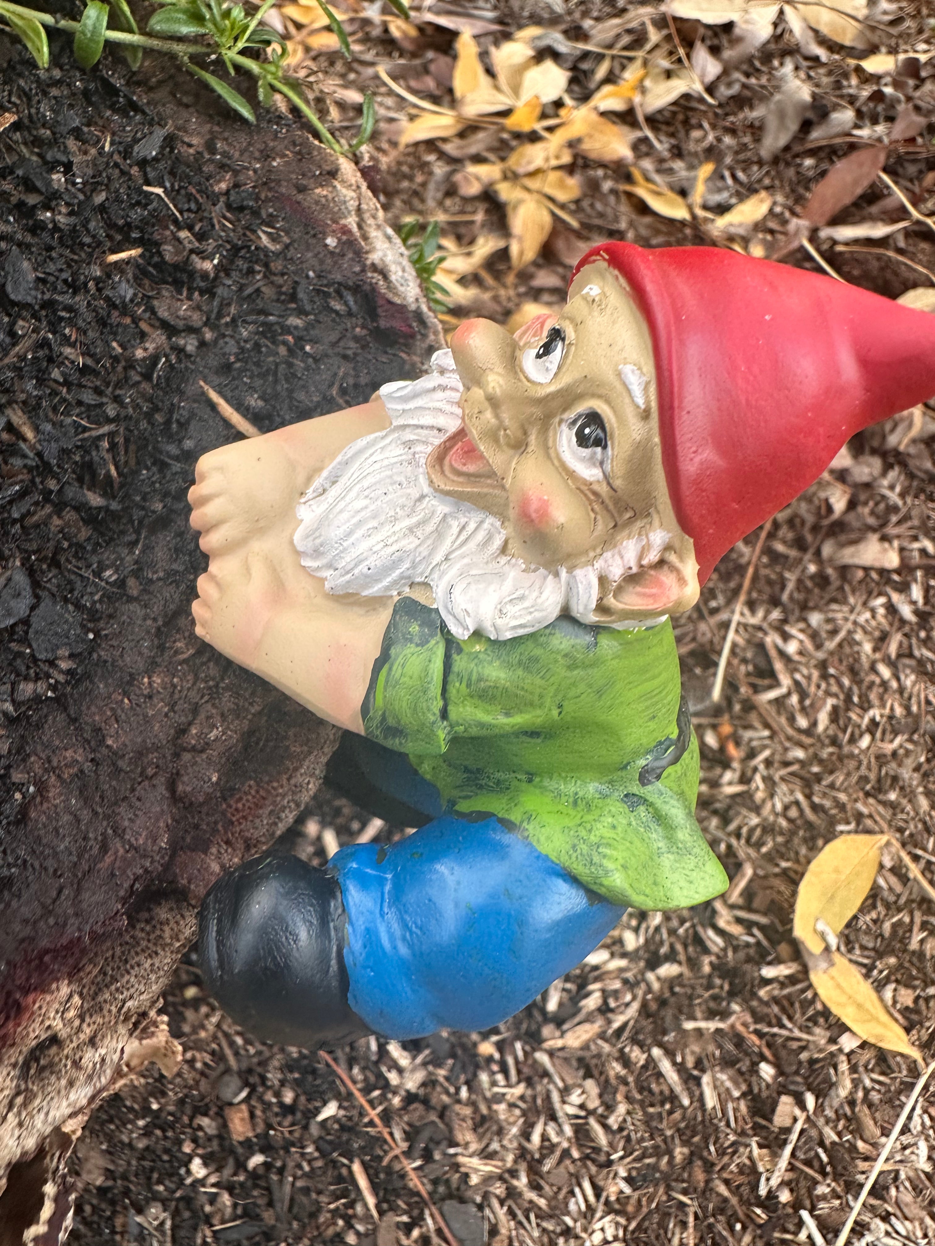 Garden Gnome pot sitters image 7