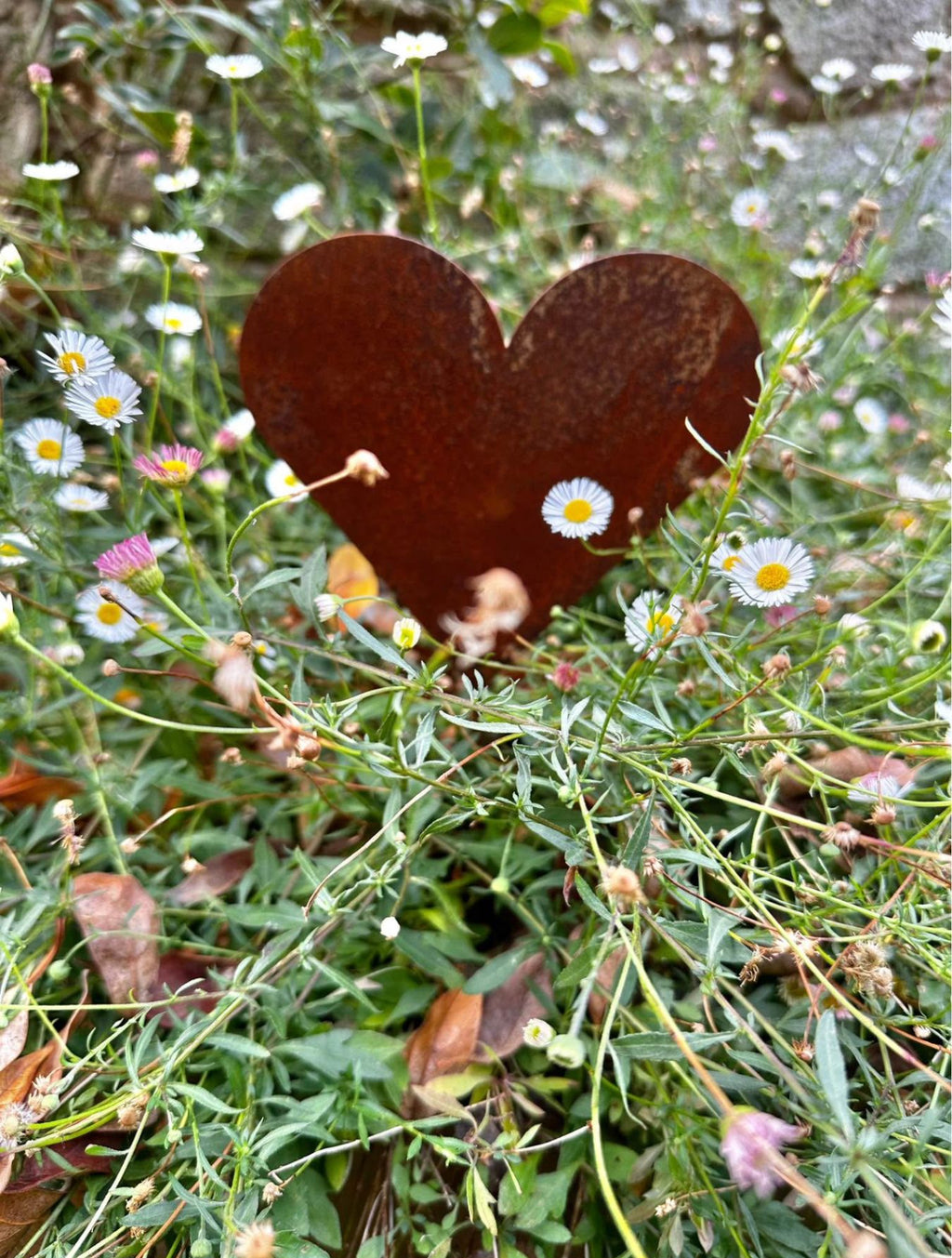 Rusty Heart Stakes image 2