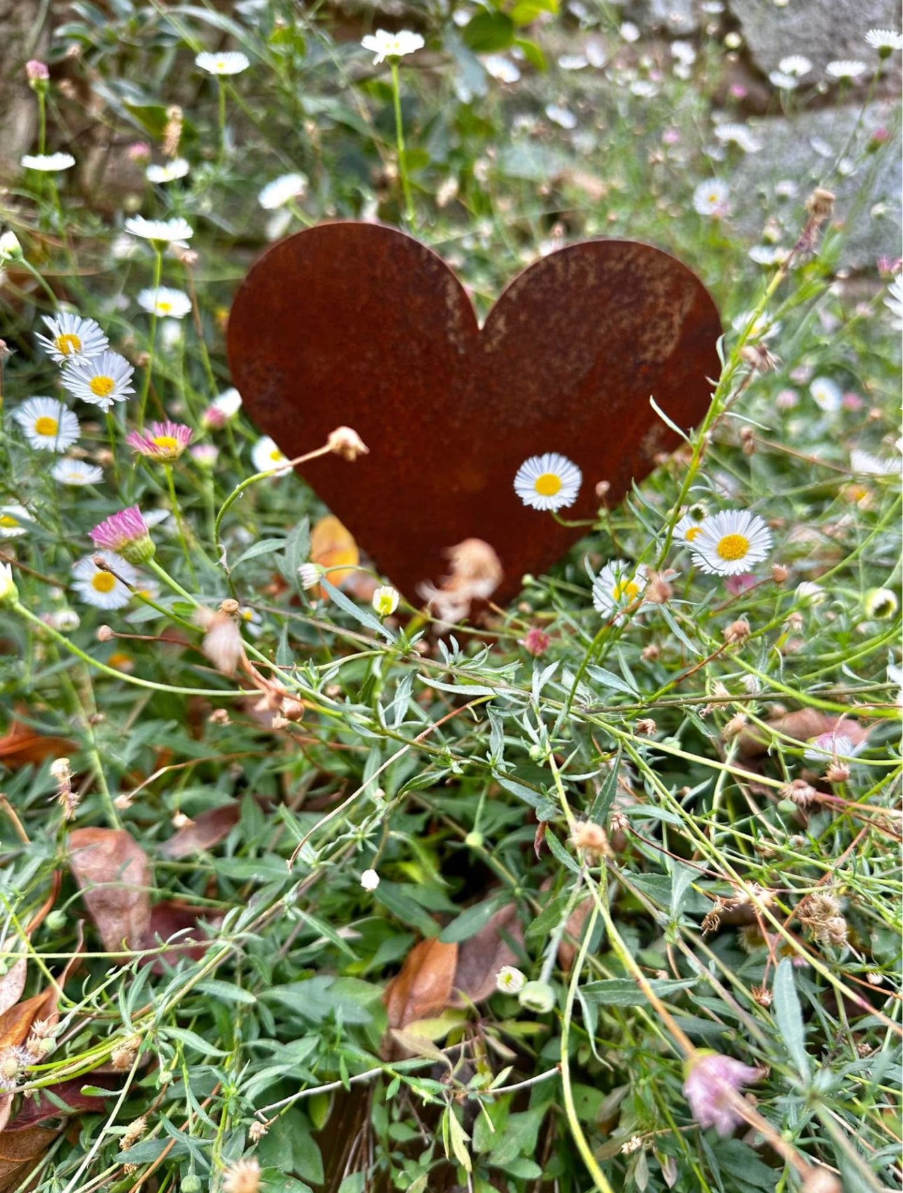 Rusty Heart Stakes image 2