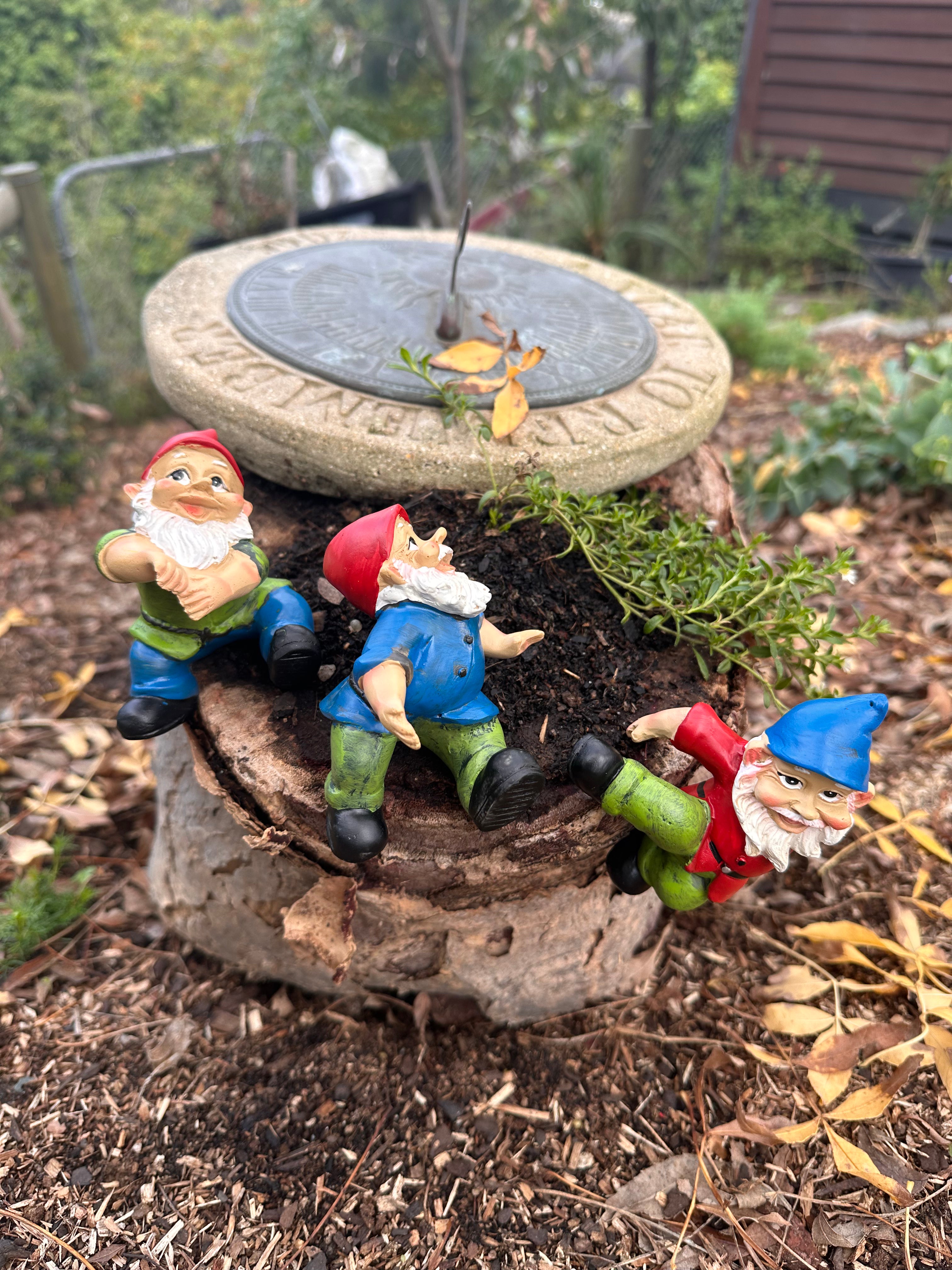Garden Gnome pot sitters image 0