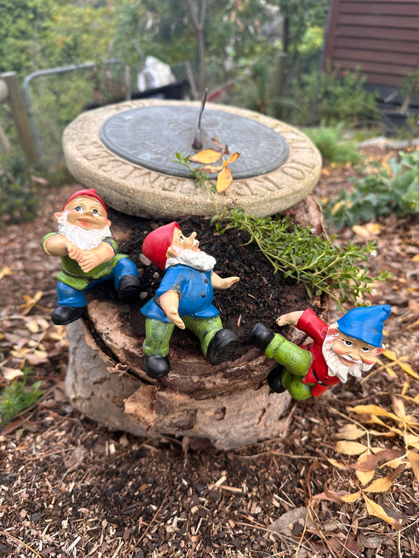 Garden Gnome pot sitters image 0