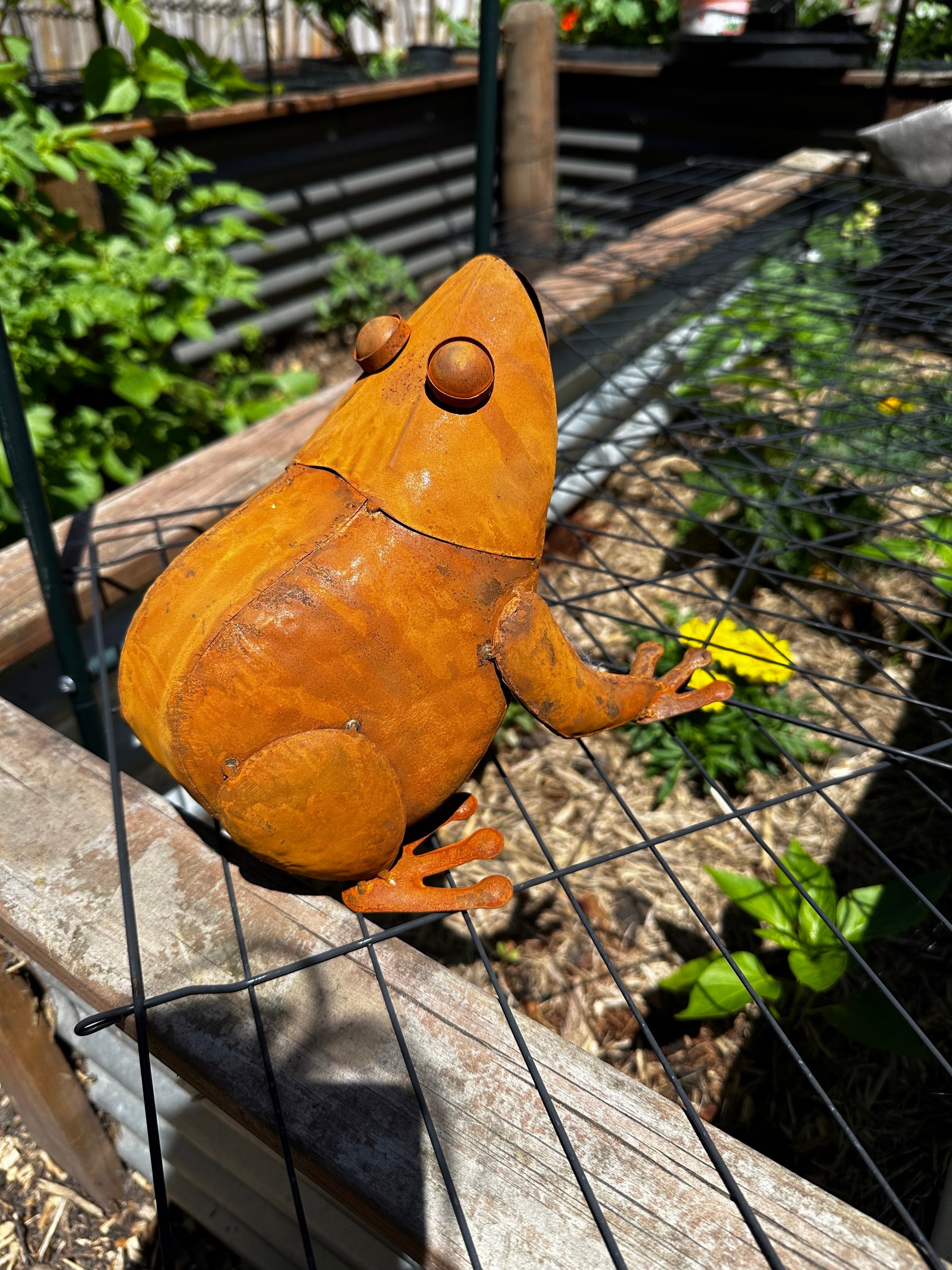 Large Rusty Metal Frog Garden Statue image 3