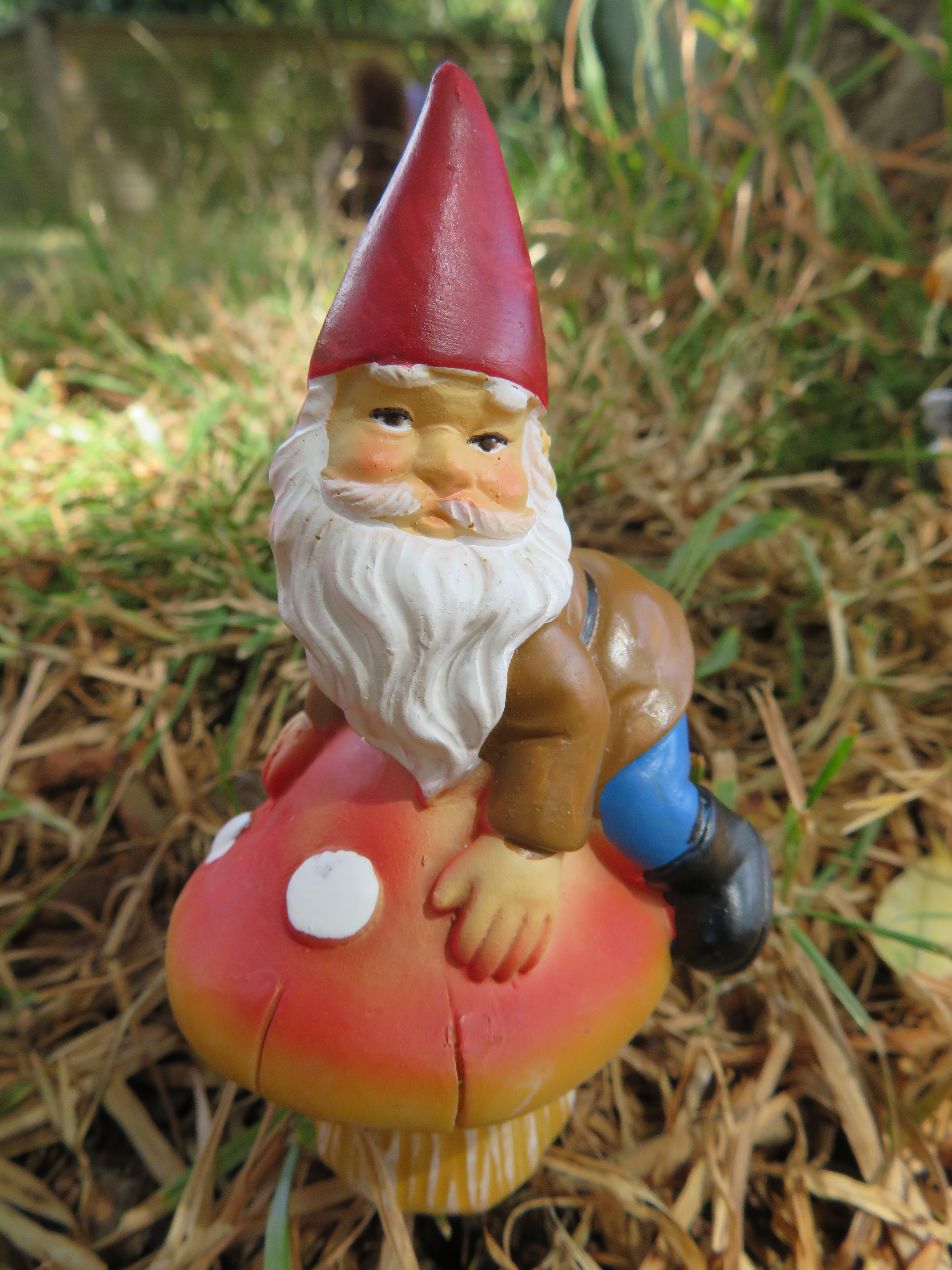 12cm garden gnome stakes image 4