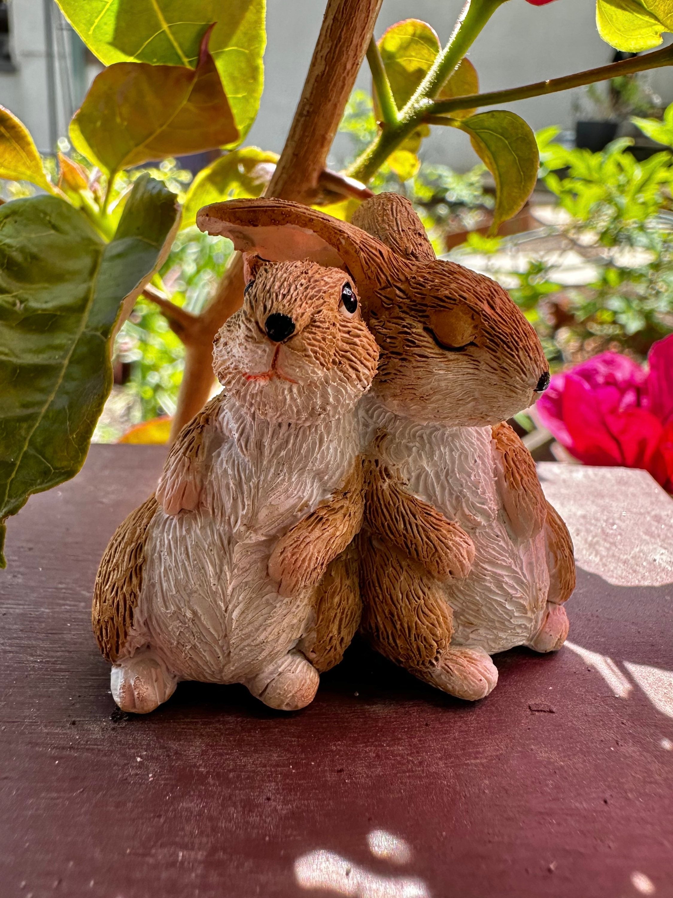 Miniature rabbits bunny image 0
