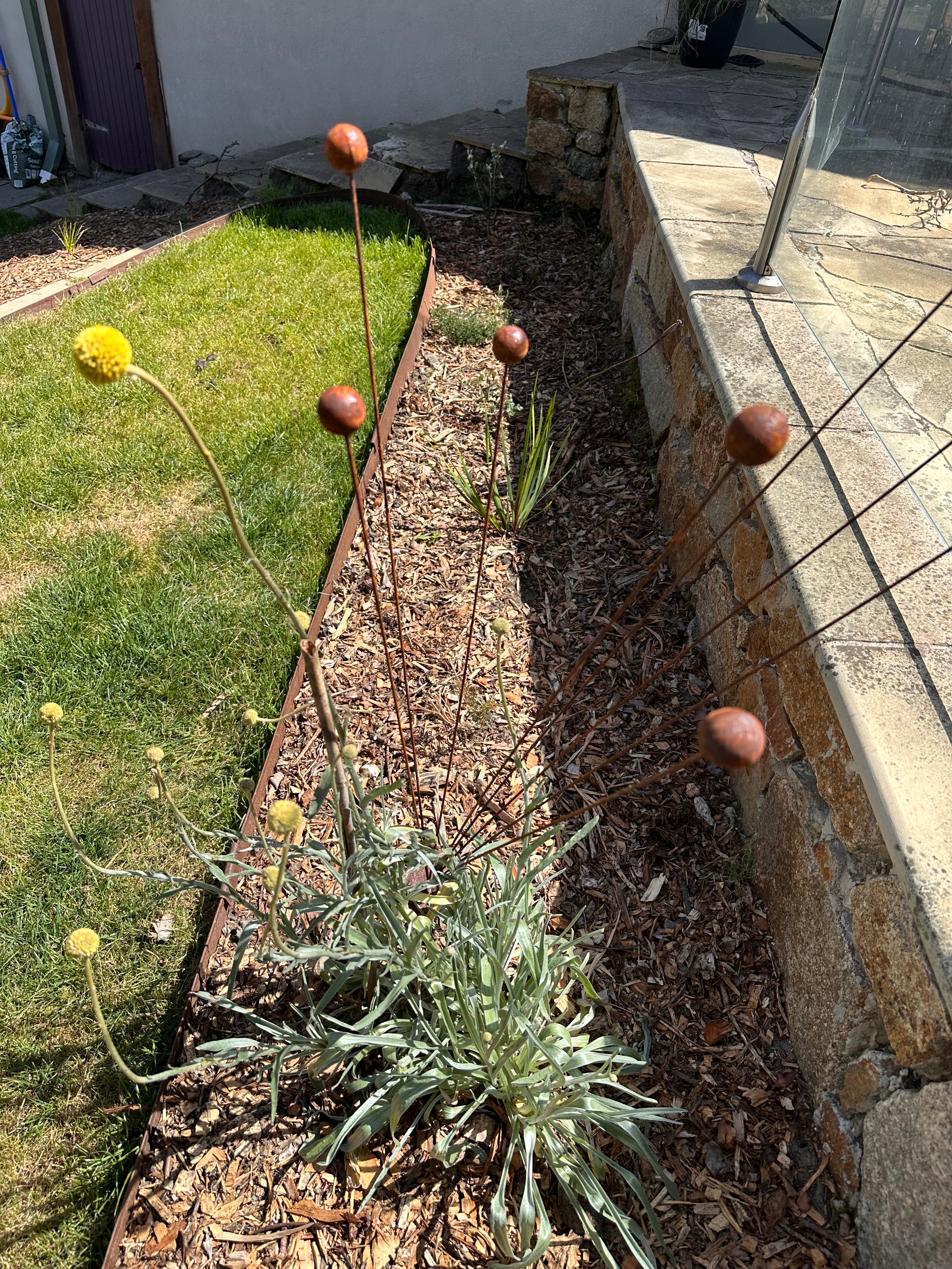 Rustic Billy Buttons Kinetic Garden Art