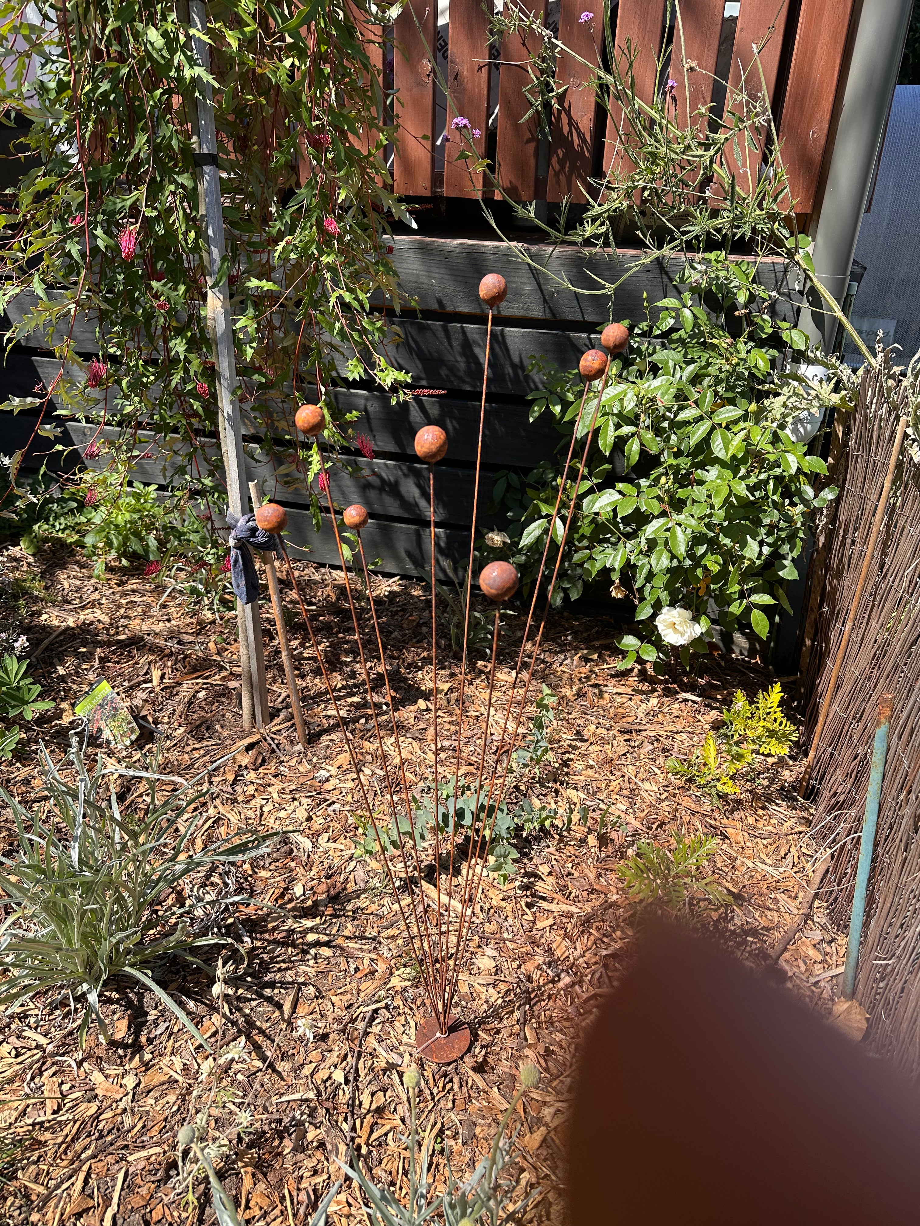 Rustic Billy Buttons Kinetic Garden Art
