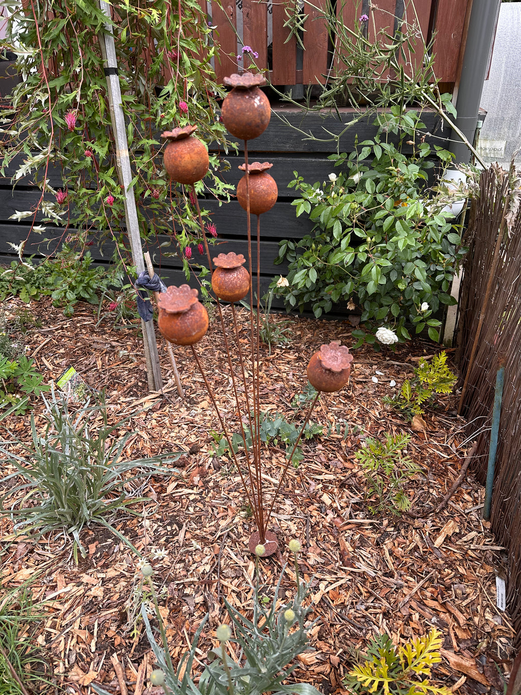 Rustic Poppy Head Kinetic Garden Art