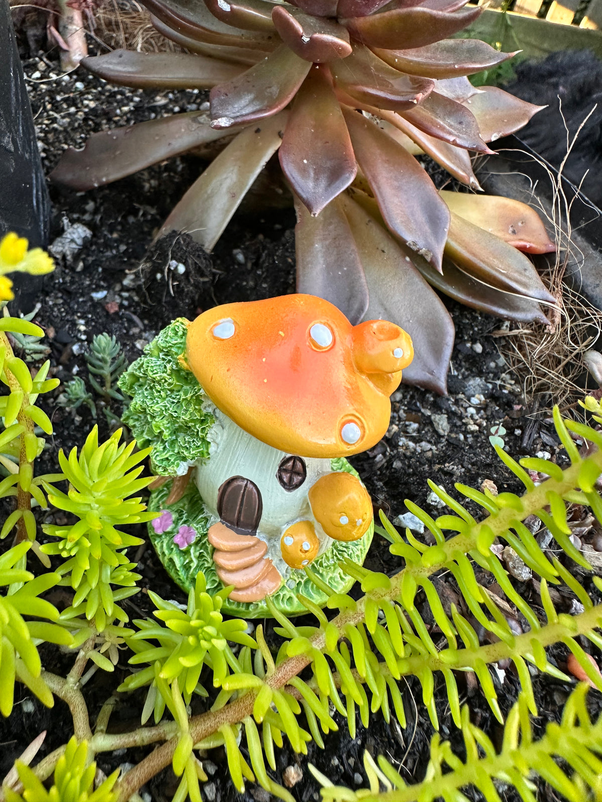 5cm miniature mushroom house