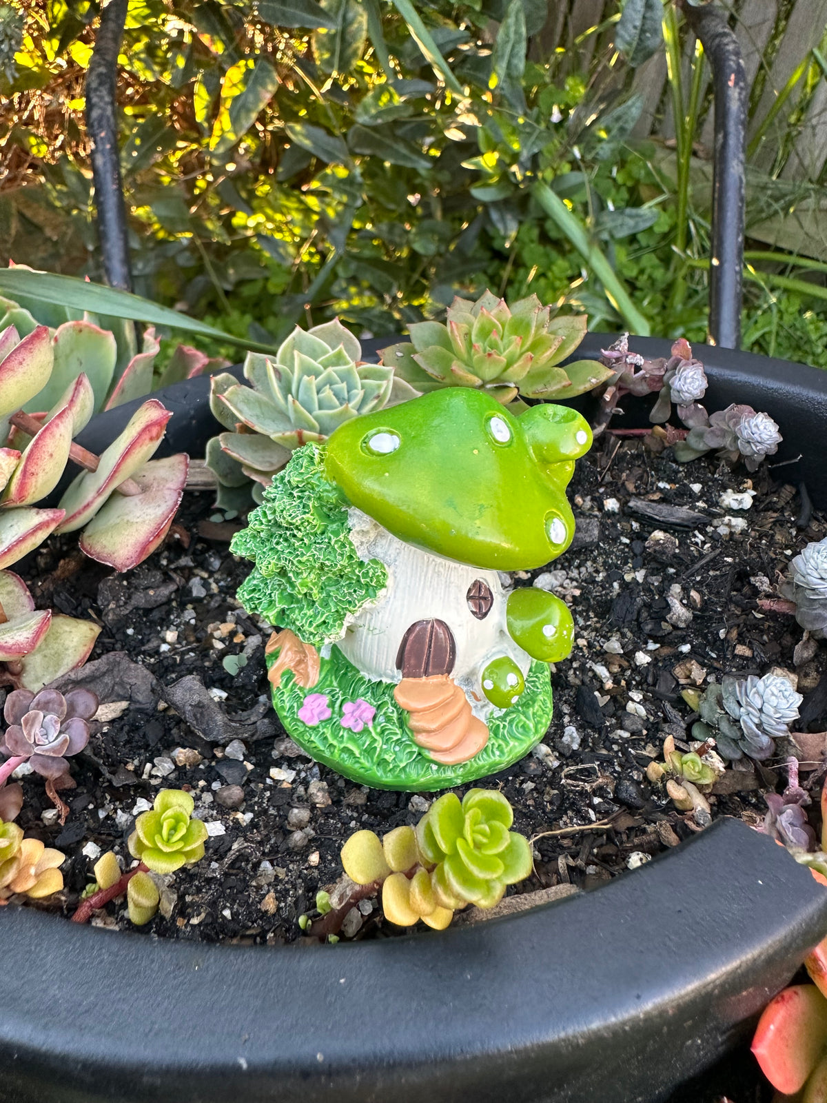 5cm miniature mushroom house