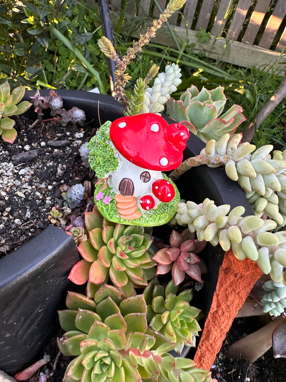 5cm miniature mushroom house