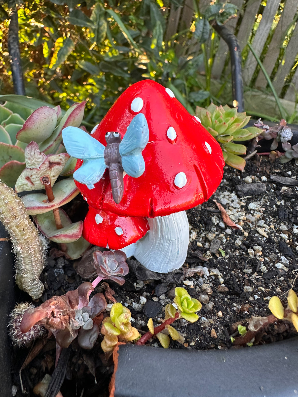 8cm twin mushroom with butterfly or dragonfly