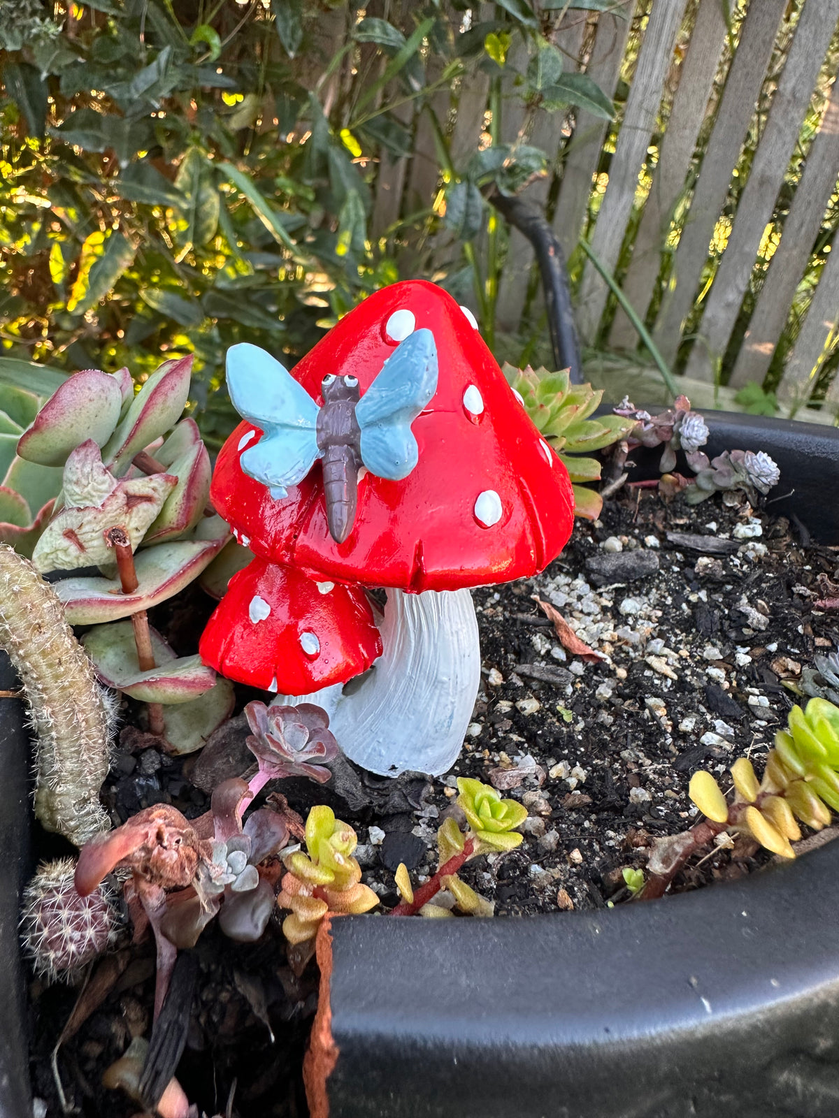 8cm twin mushroom with butterfly or dragonfly