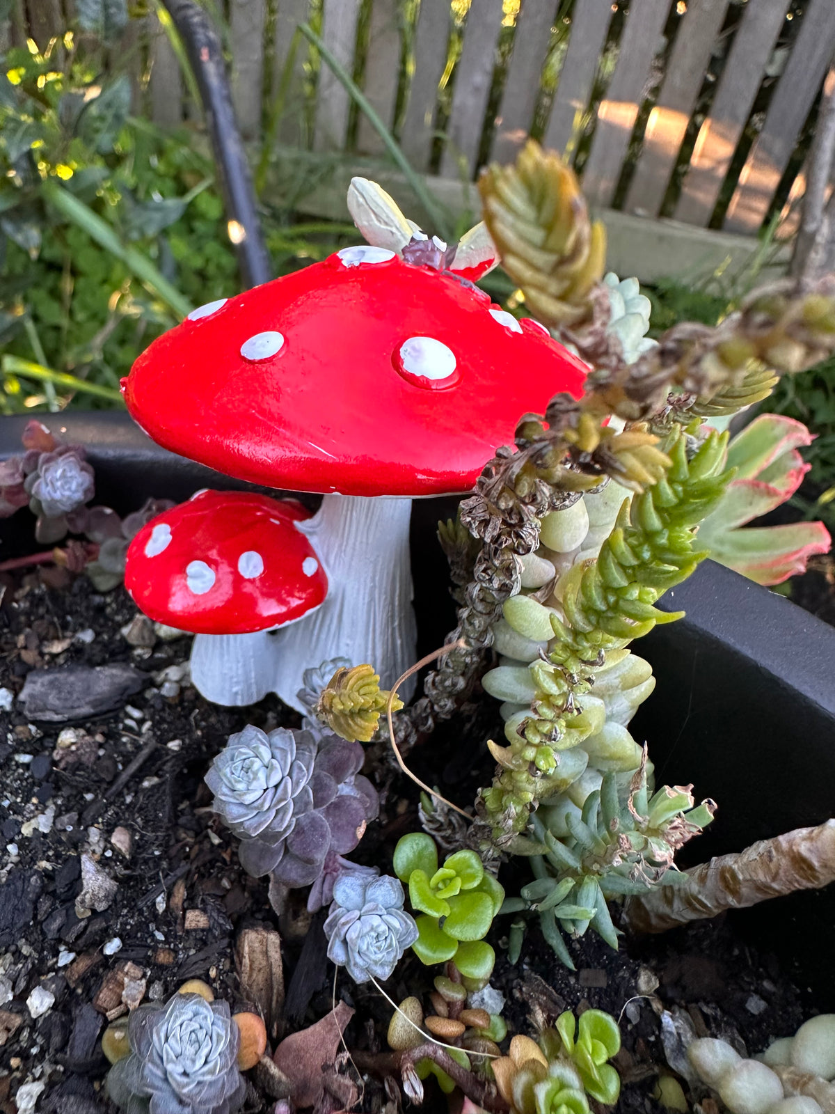 8cm twin mushroom with butterfly or dragonfly