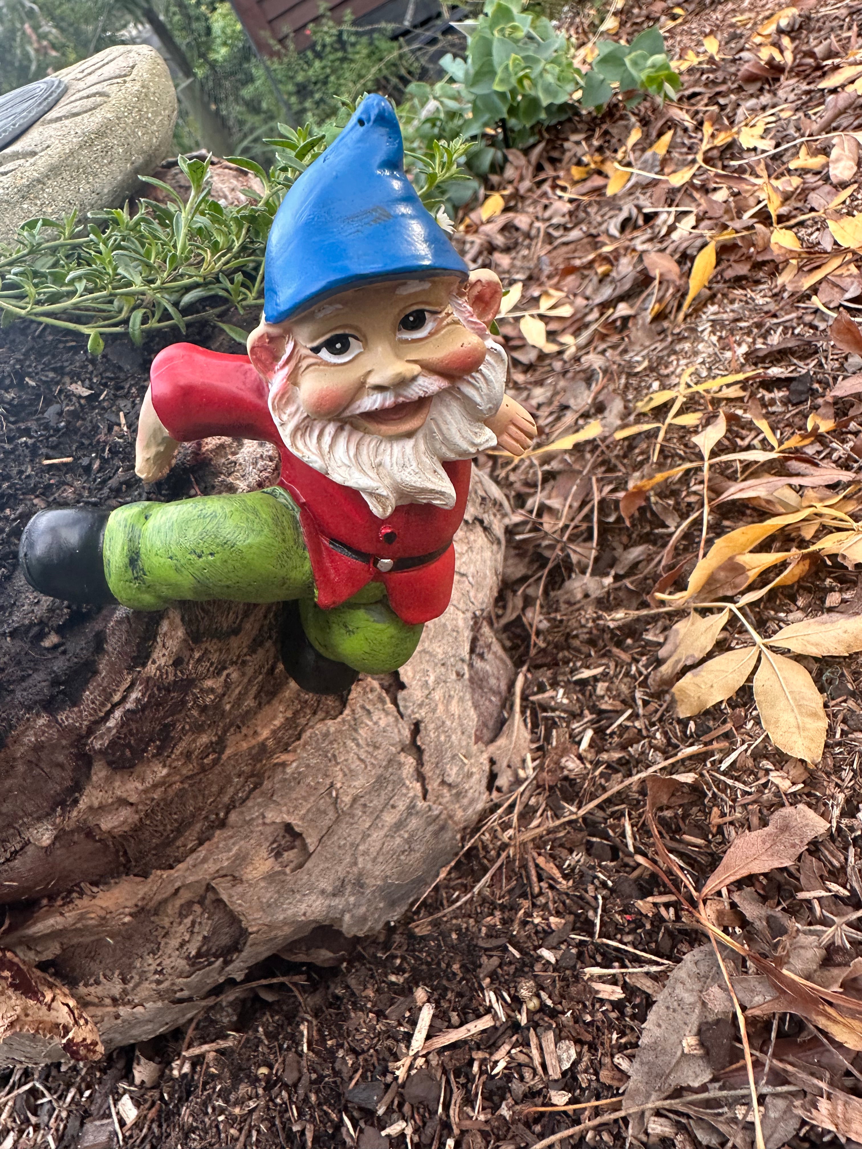 Garden Gnome pot sitters image 3