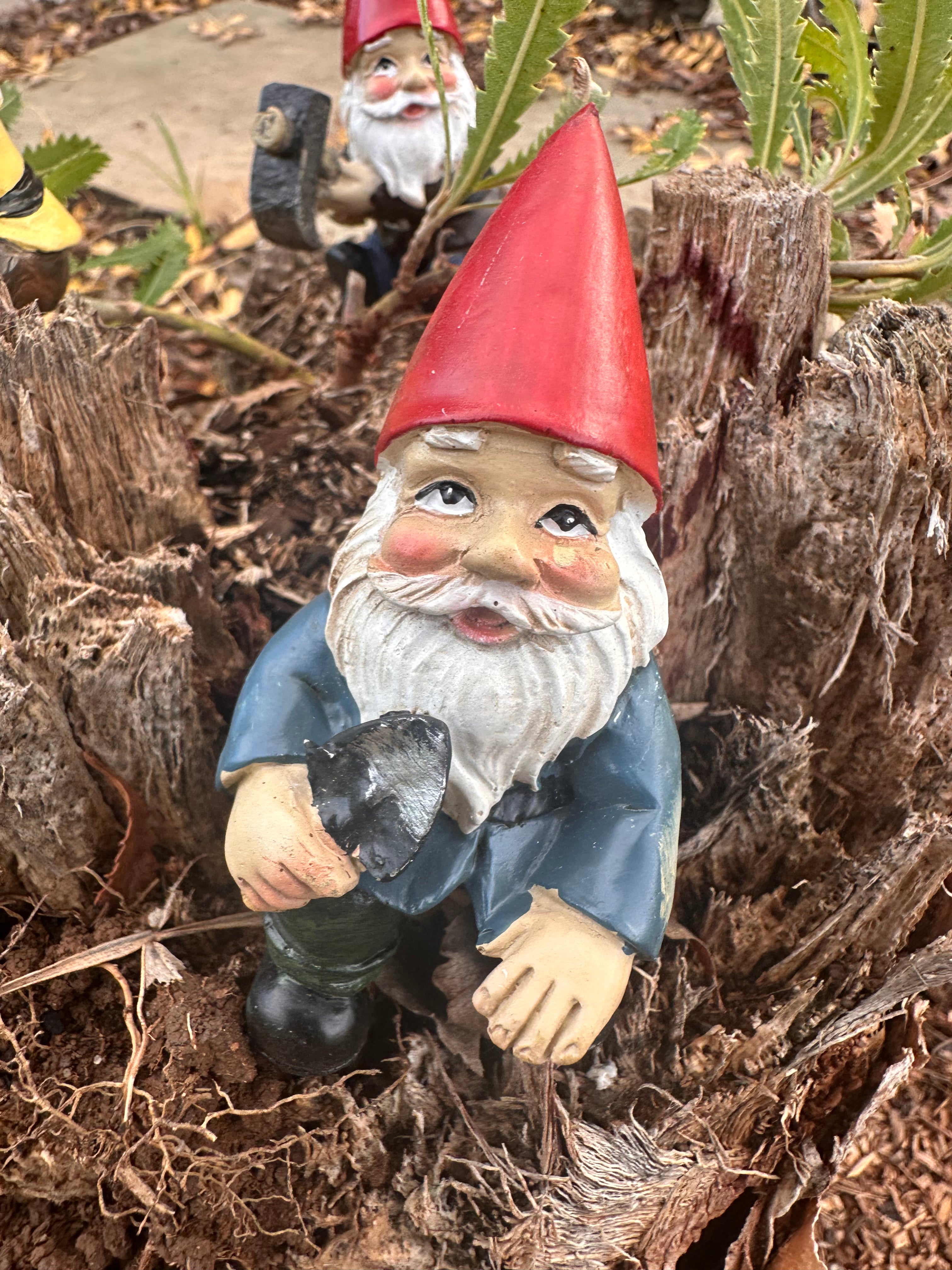 Gardening Gnome pot sitters image 1