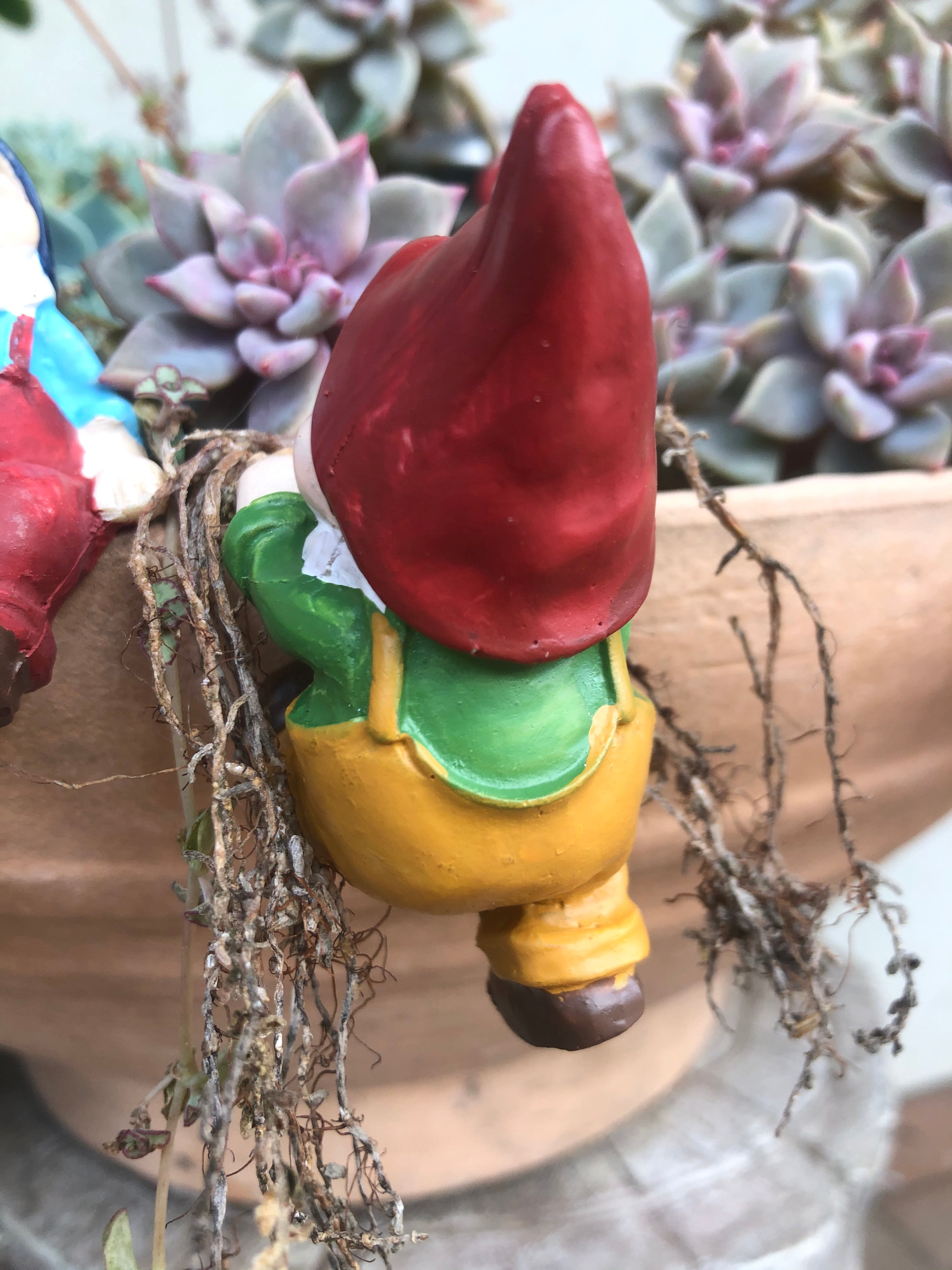 Gnome pot sitters image 4